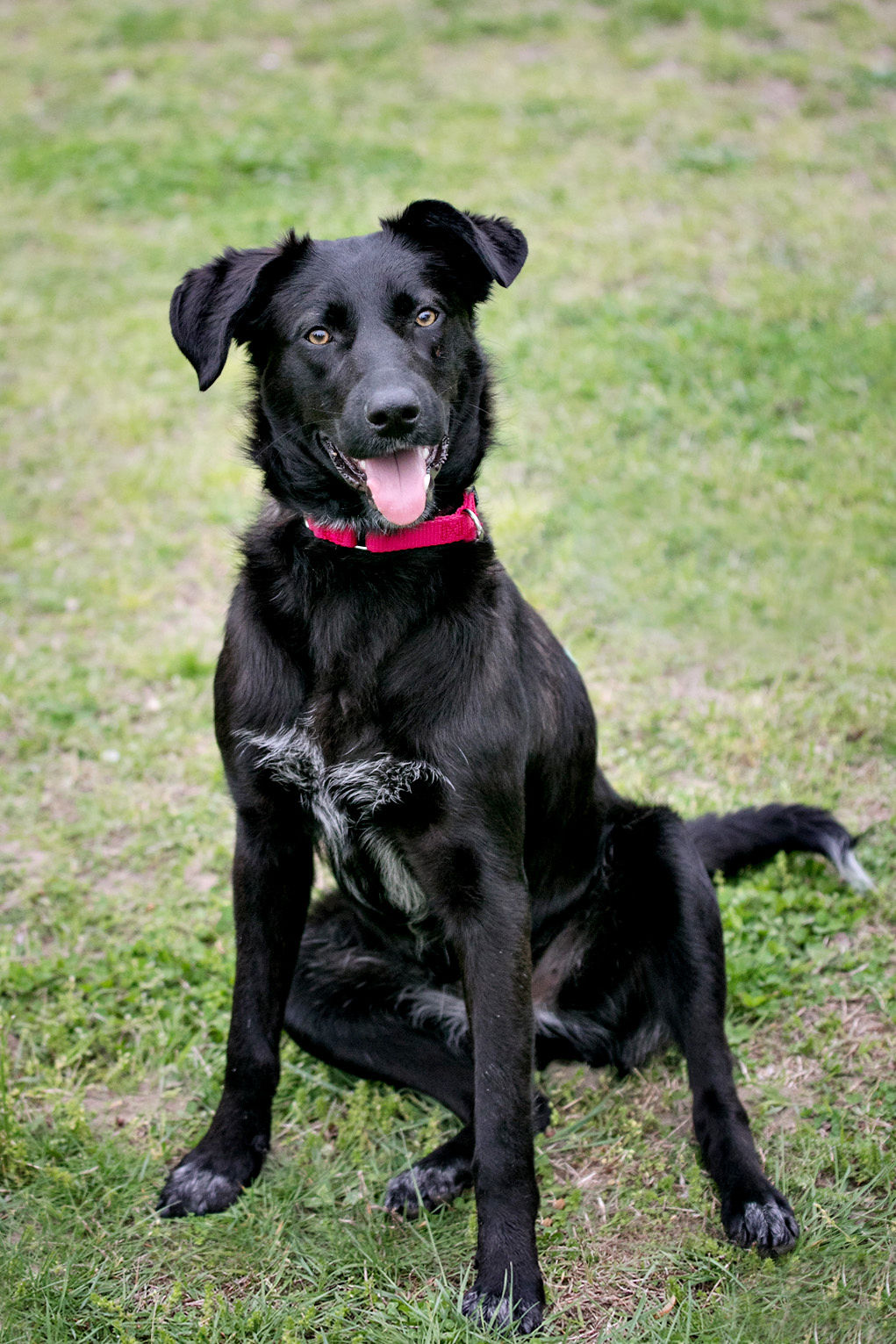 Keelie (Violet), Pennsylvania