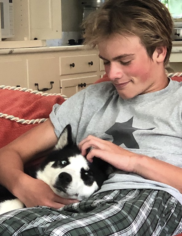 SochiDogs.jpg