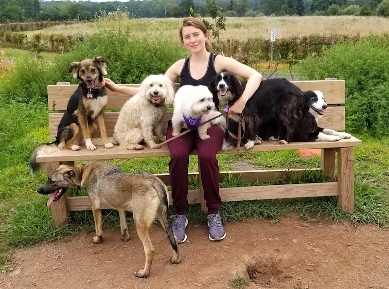 SochiDogs.jpg