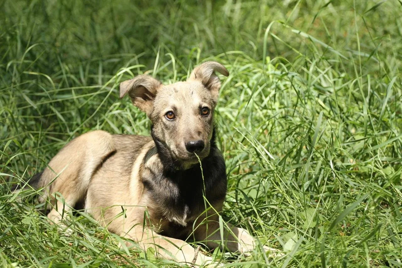 WhatsApp Image 2022-07-03 at 10.37.04 PM (1).jpeg