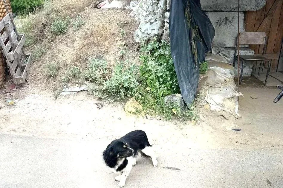 The moment he was found.