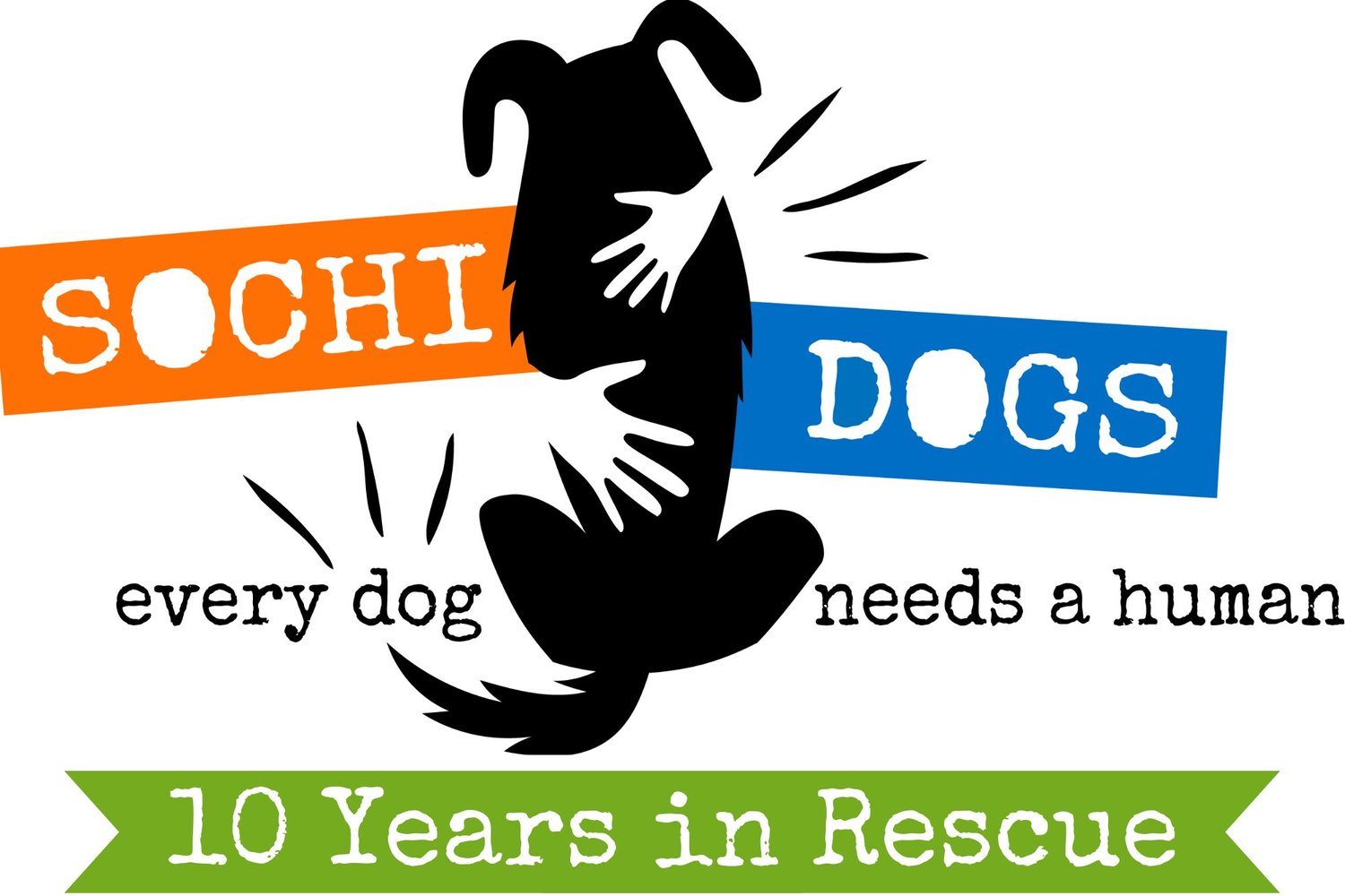 Sochi Dogs Rescue