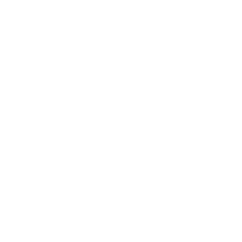 Blake R Stemm