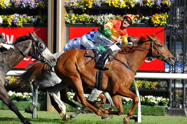 Happy Trails - Fawkner - Emirates Stakes.jpg