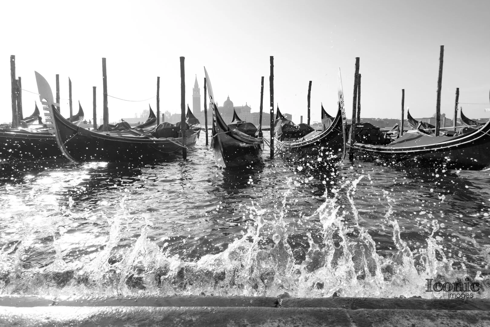 DSC01214 f Europe 2019.jpg