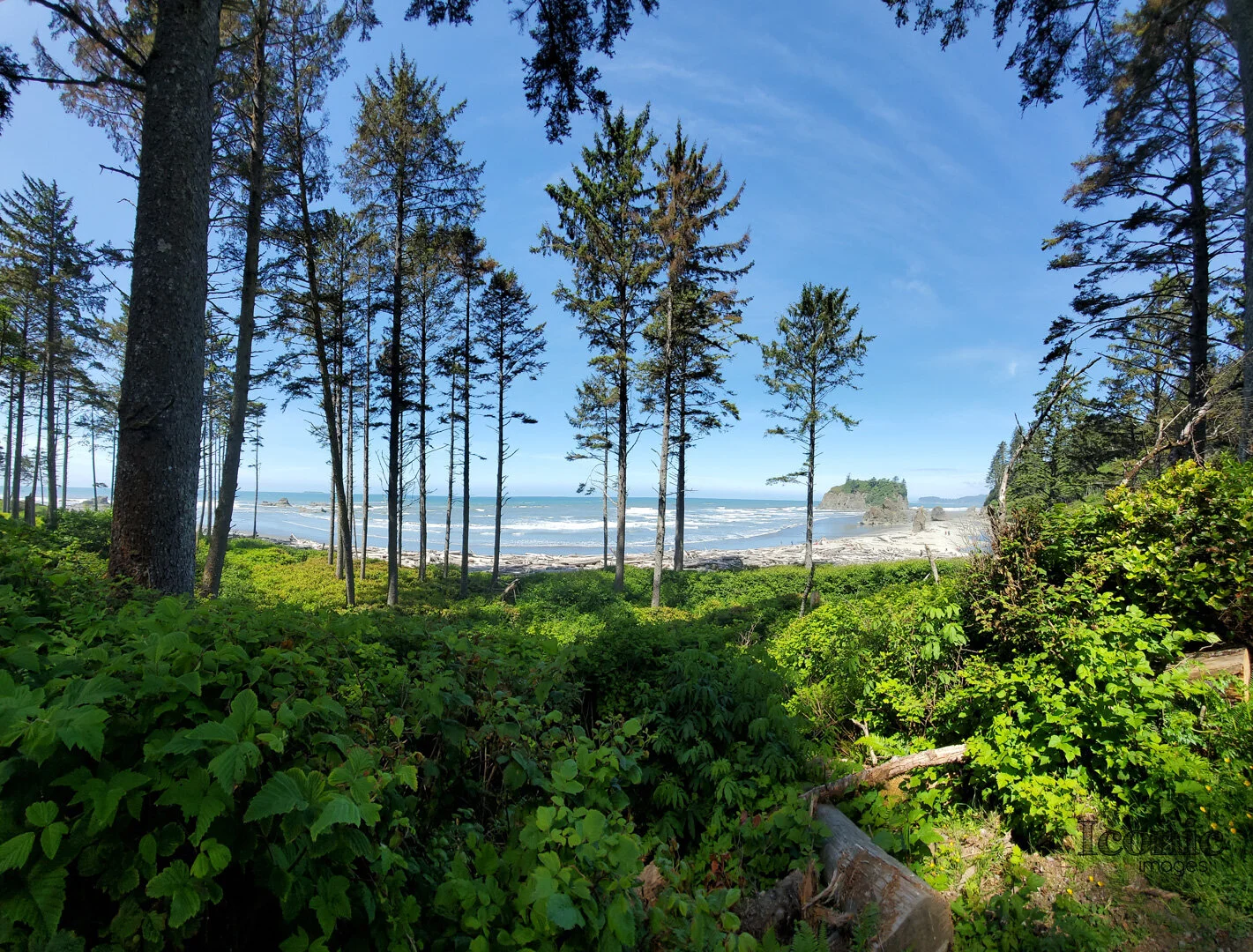 Ruby Beach.jpg