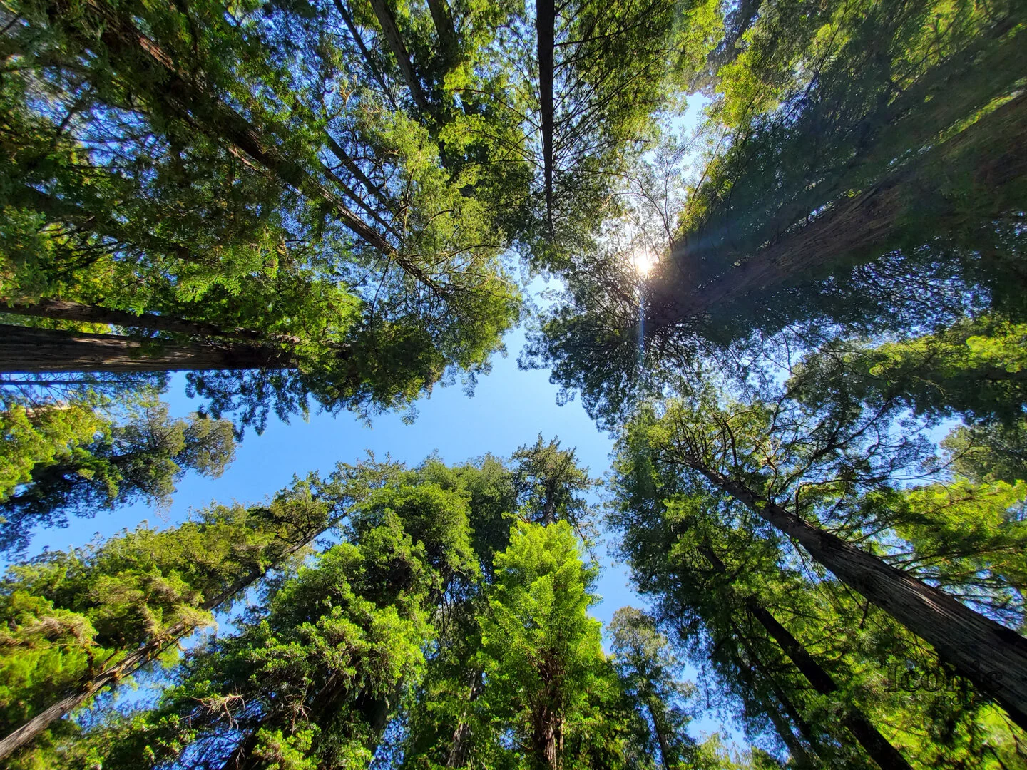 2019-06-07 13.36.51-1 Europe 2019.jpg