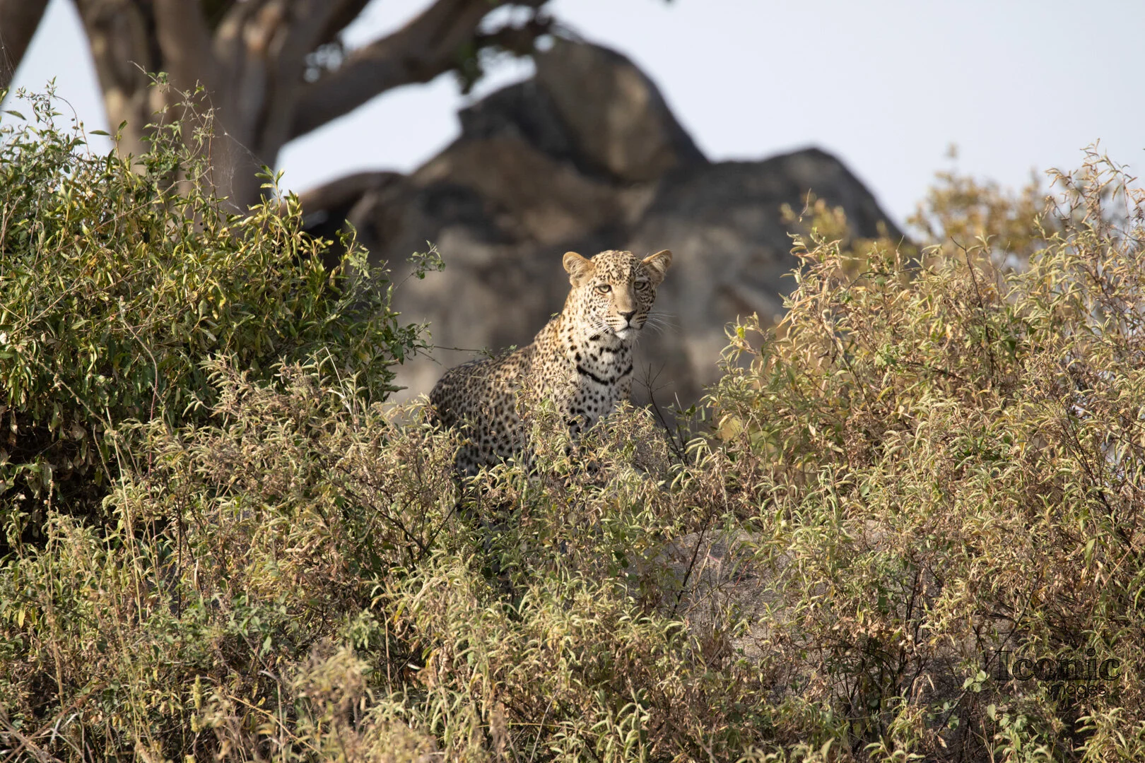 1B7A9369 Europe 2019.jpg