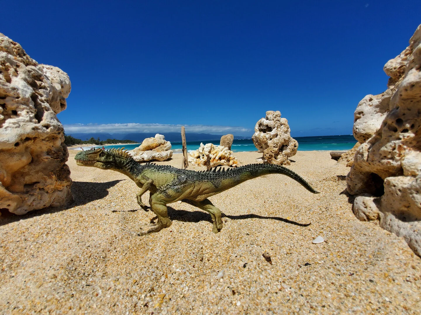 (a) 2019-04-04 10.50.10-1 Web (1).jpg