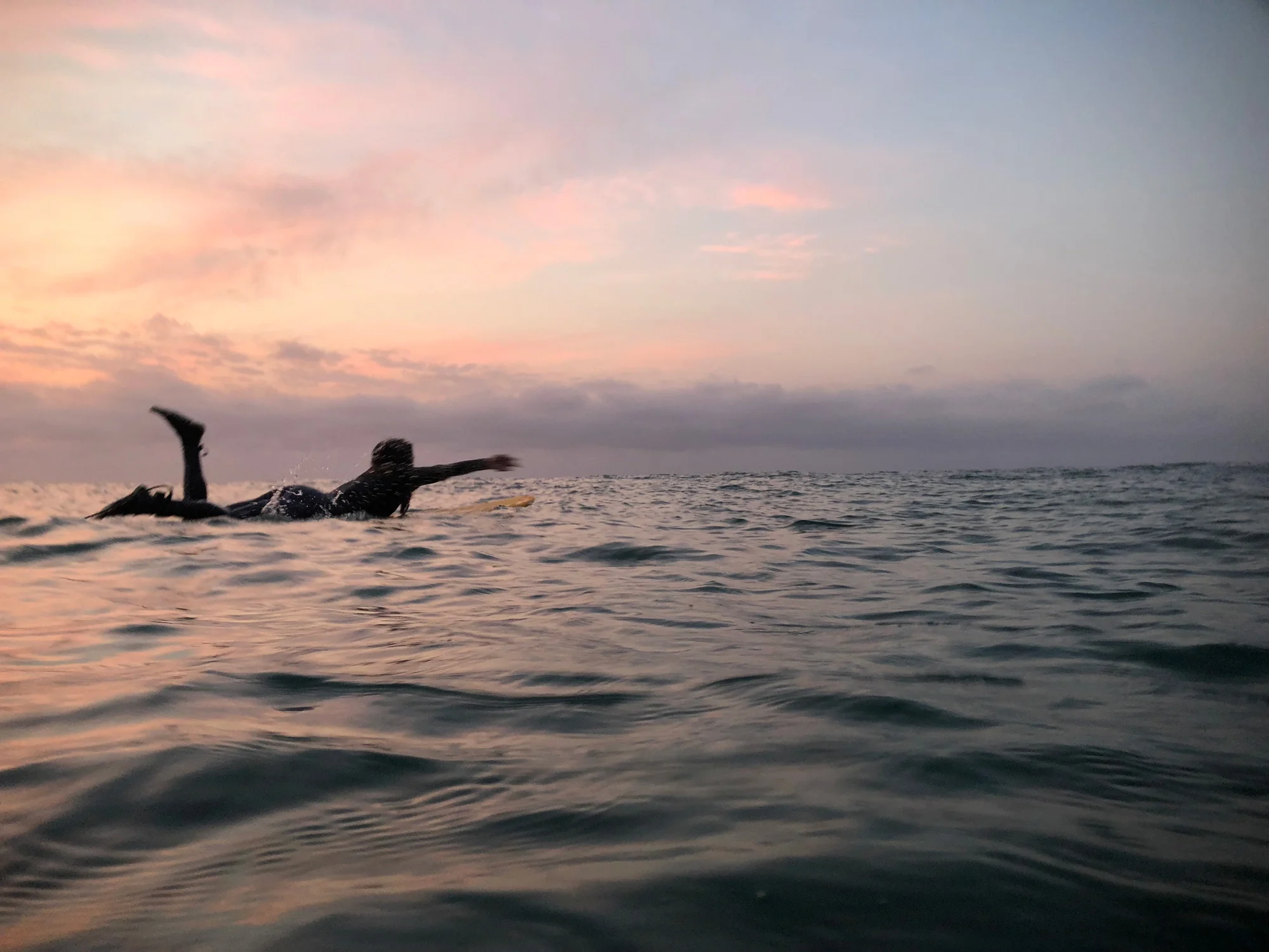 surf-1.jpg