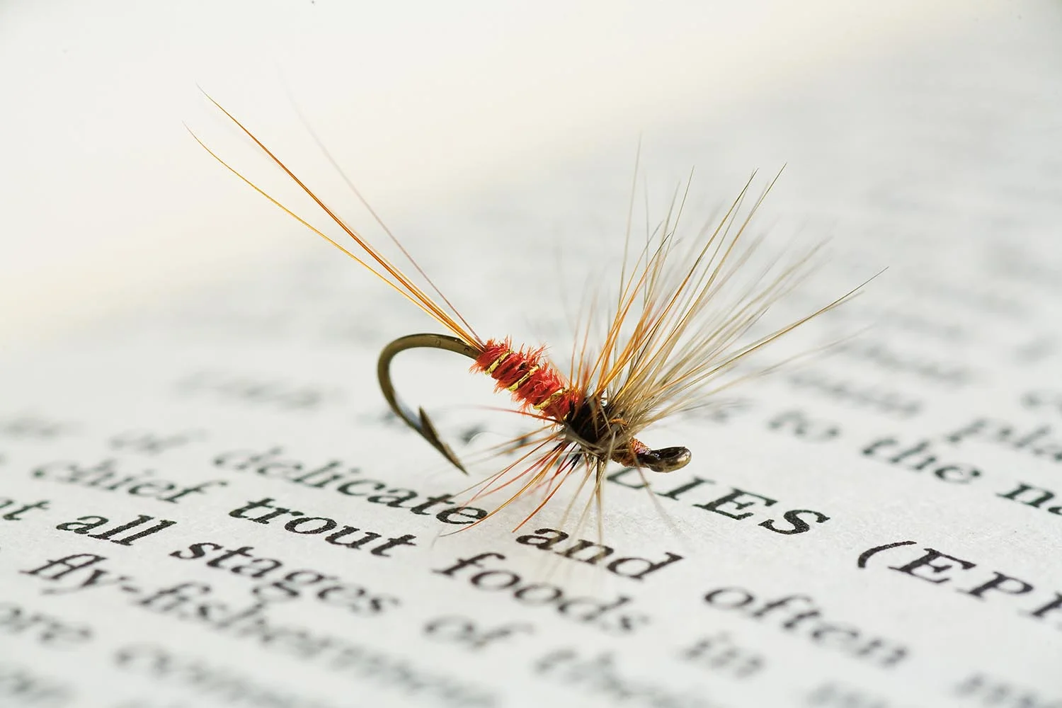 redspinner fly_0846.jpg