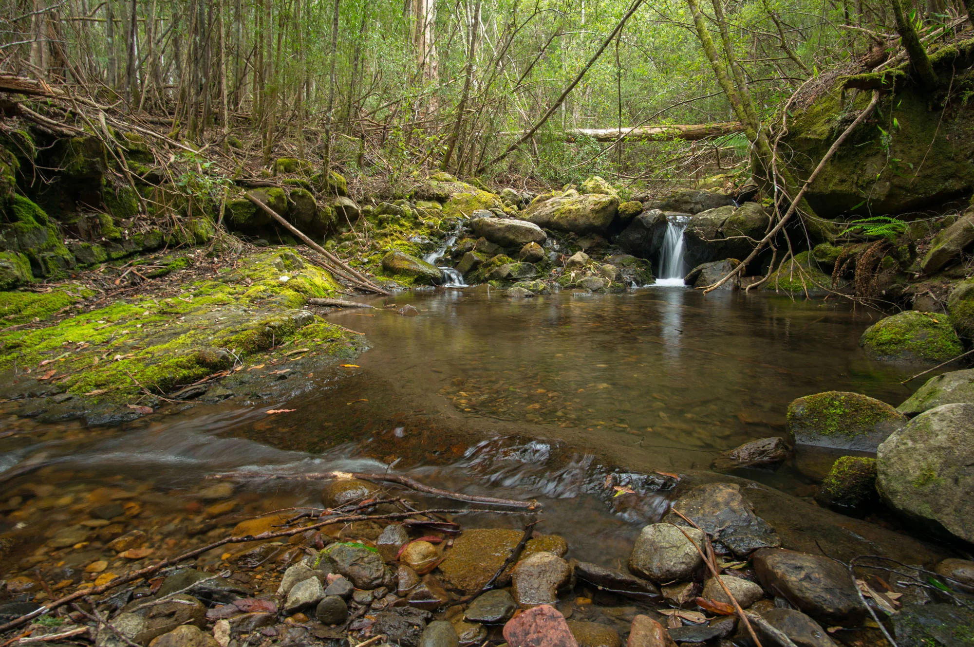 creek-4808.jpg