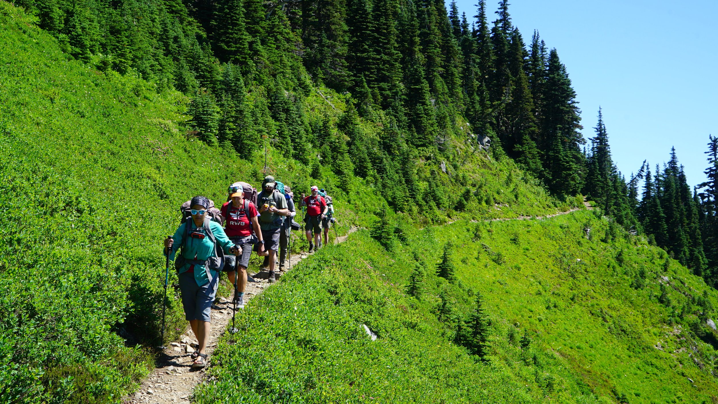 Olympic Hiking Co.  Guided Hiking Tours and Trailhead Shuttles in Olympic  National Park