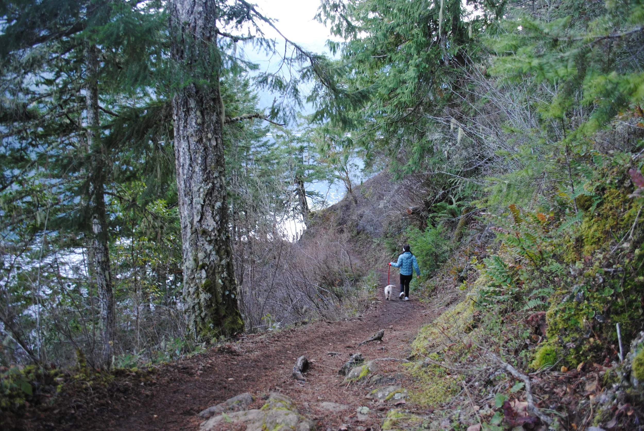 Path to the lake.jpg
