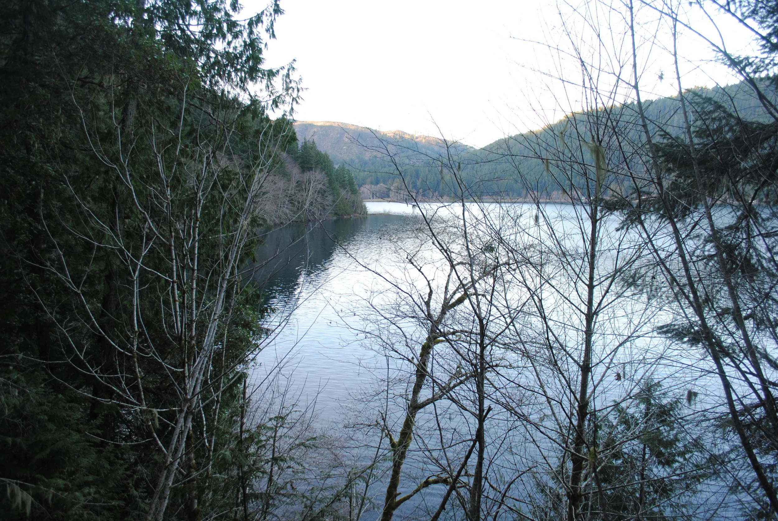 Lake Crescent Lookout.jpg