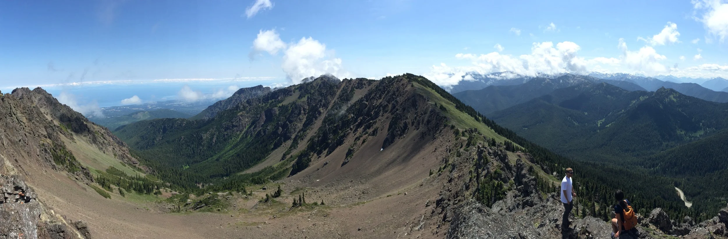 IMG_6490 - Version 3.JPG