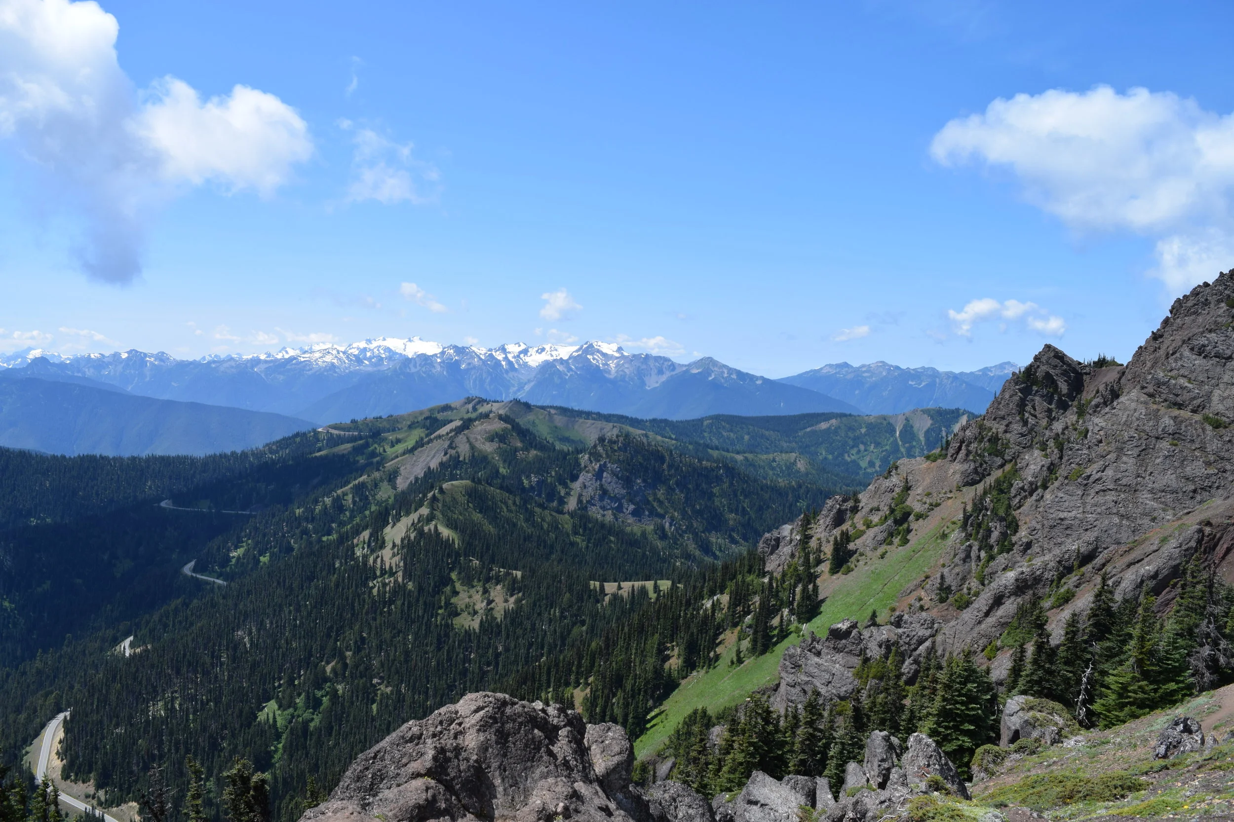 View of Hurricane Ridge.jpg
