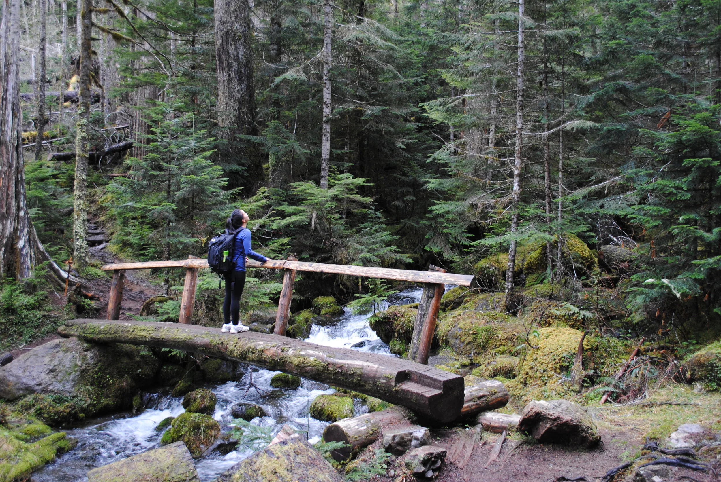 Nature Bridge.jpg