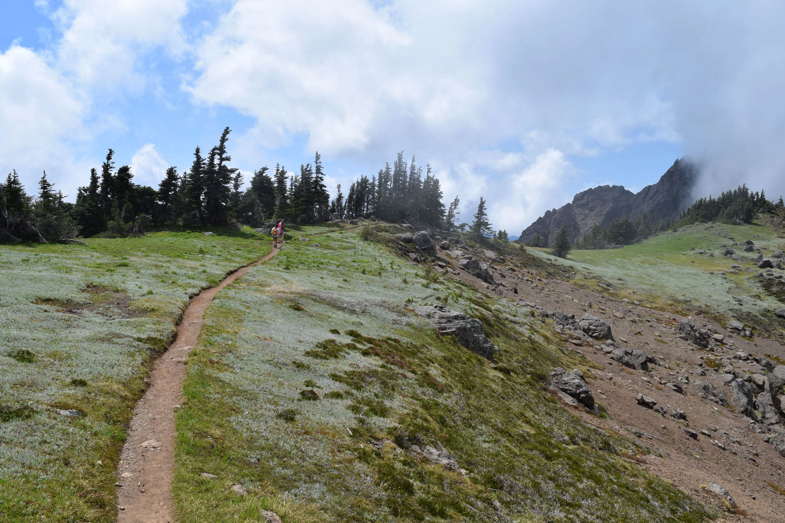 Hurricane Klahhane Ridge Trail Hurricane Ridge Hiking Trails Ridge