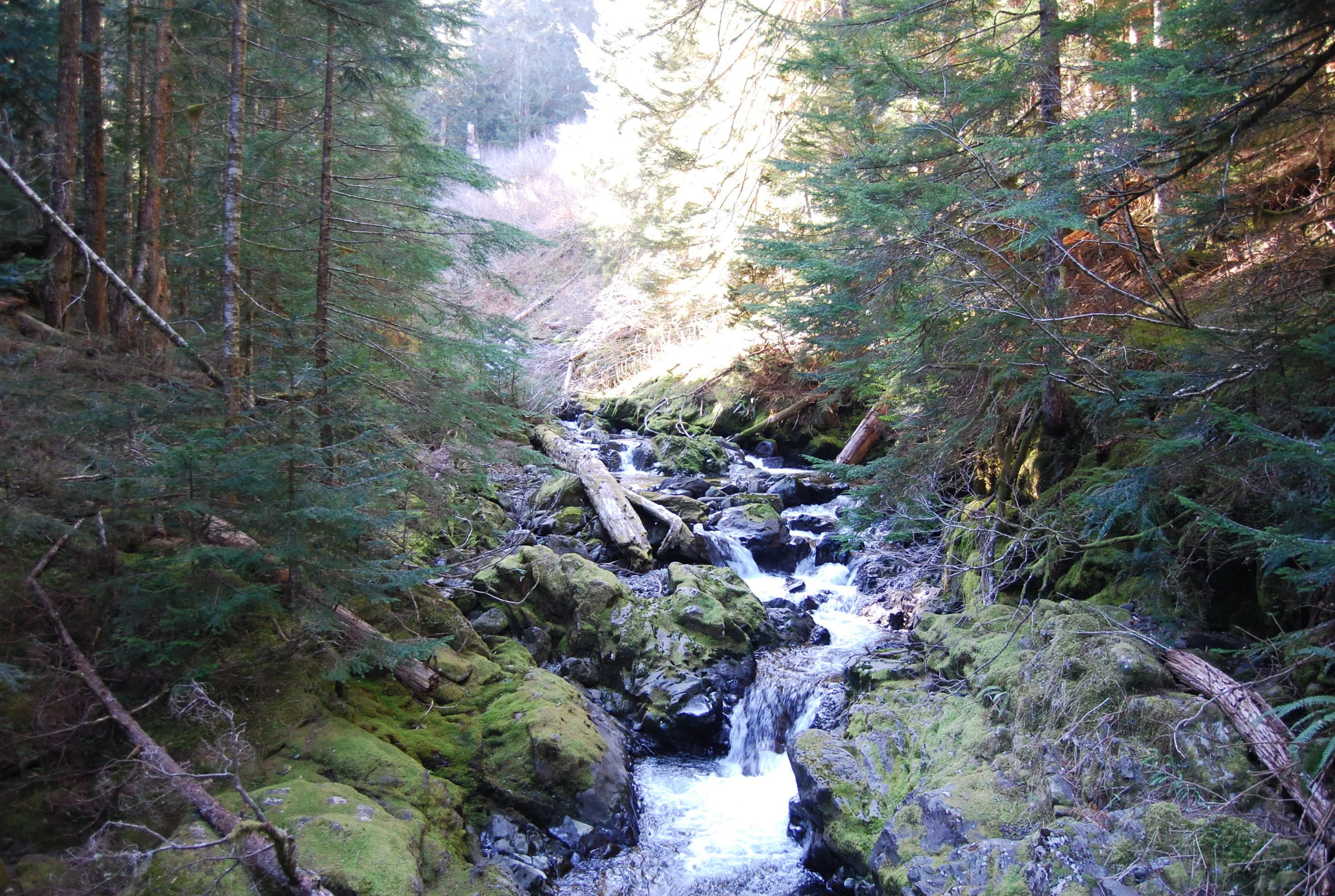 Second River Juncture.jpg