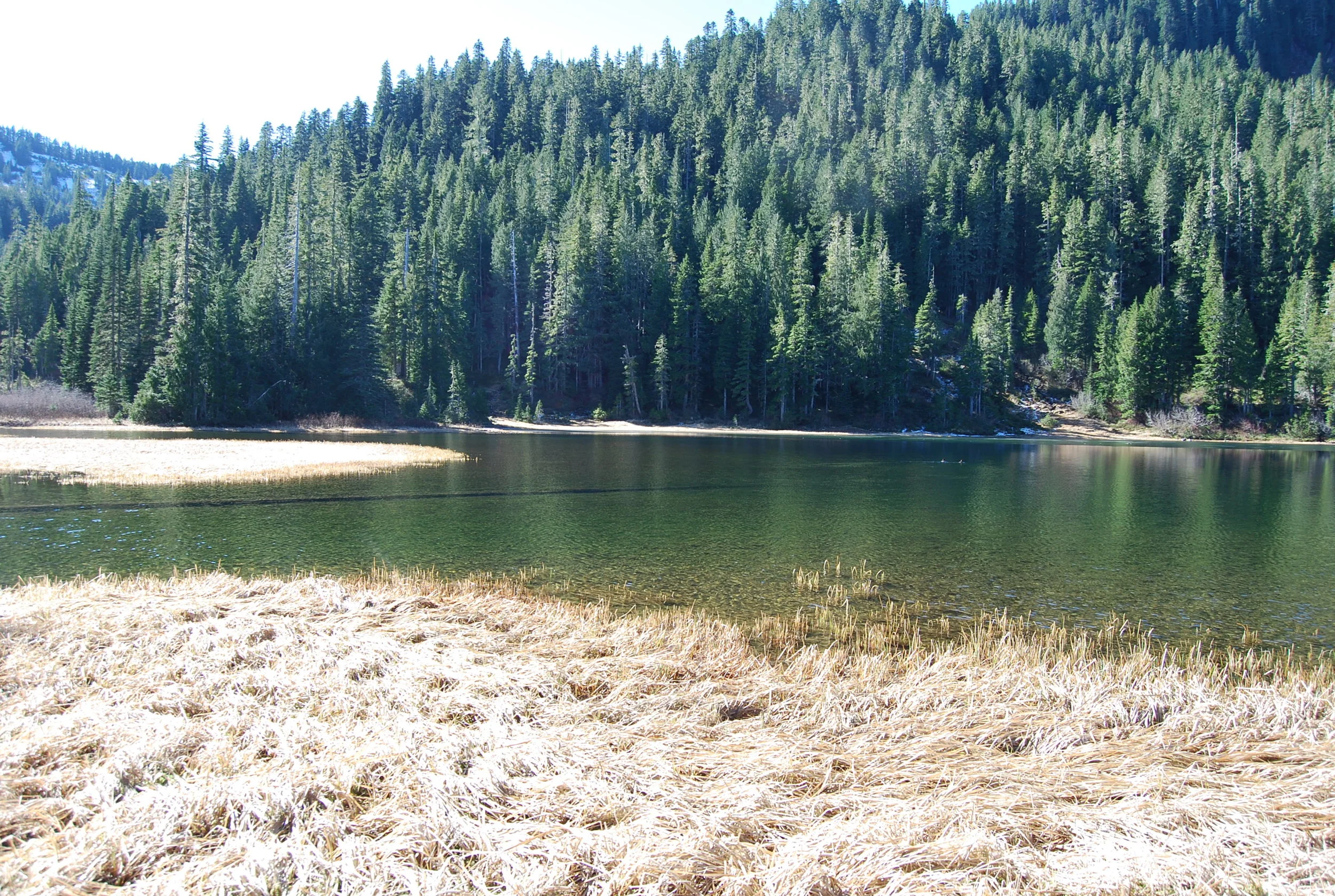 DSC_1288.JPG