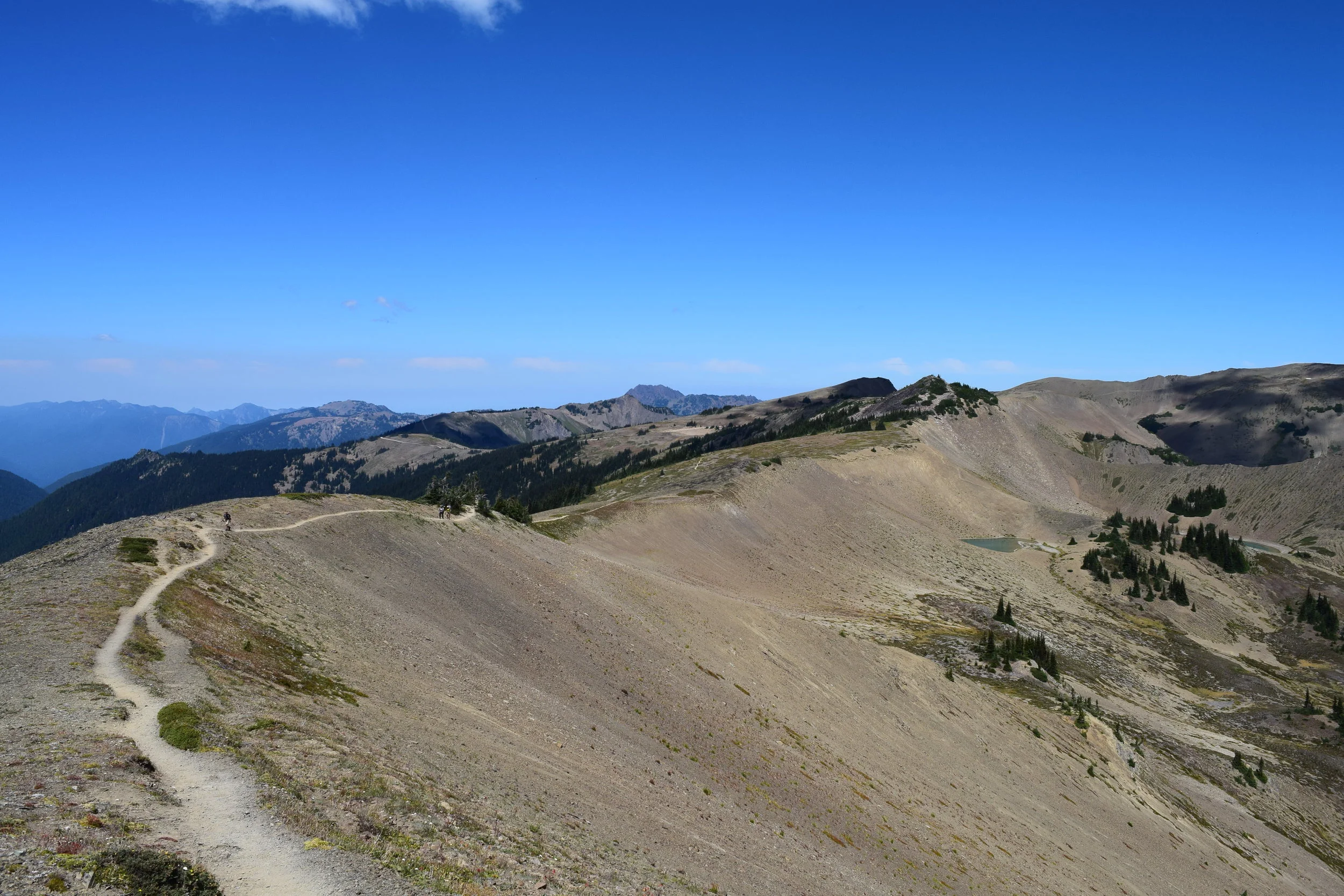 Trail.jpg