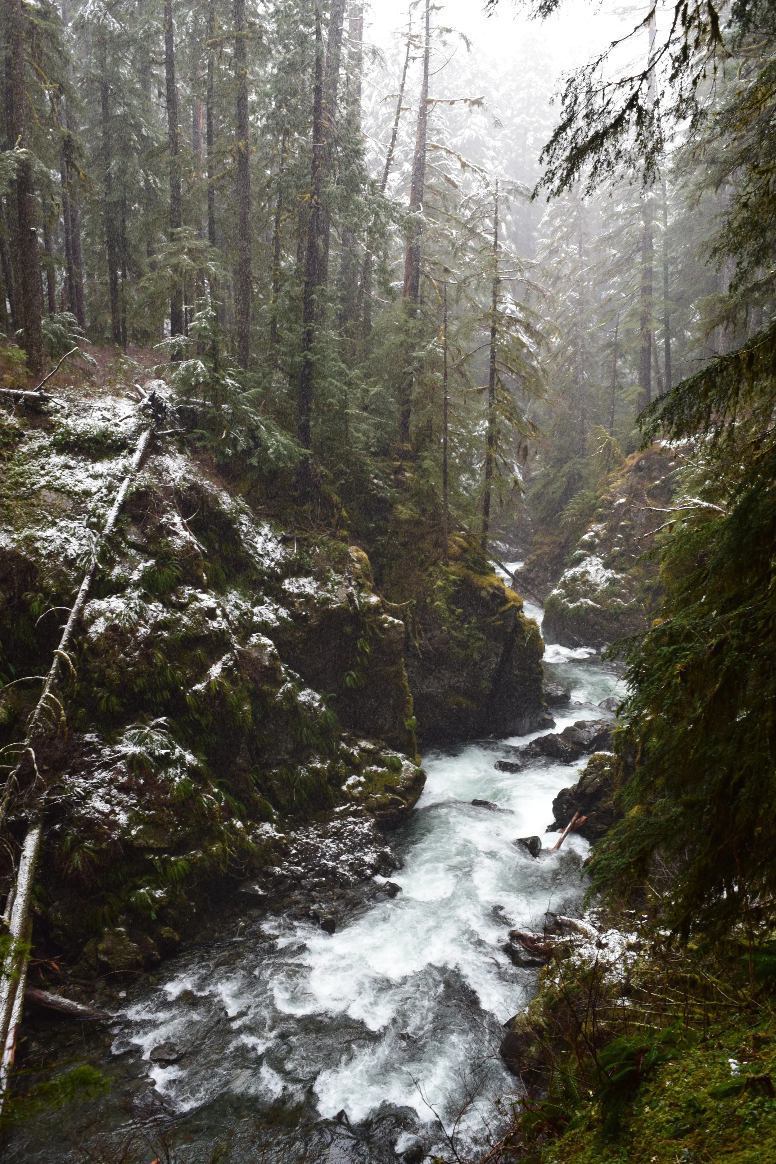 Sol Duc River Valley.jpg
