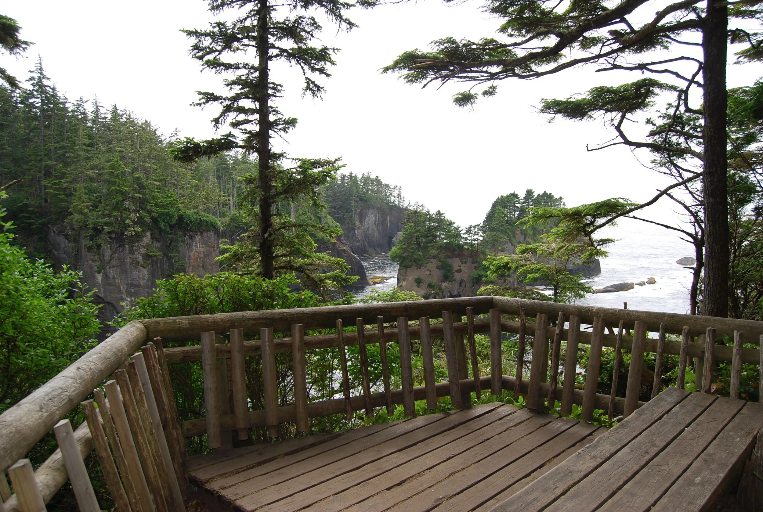 first view point.jpg