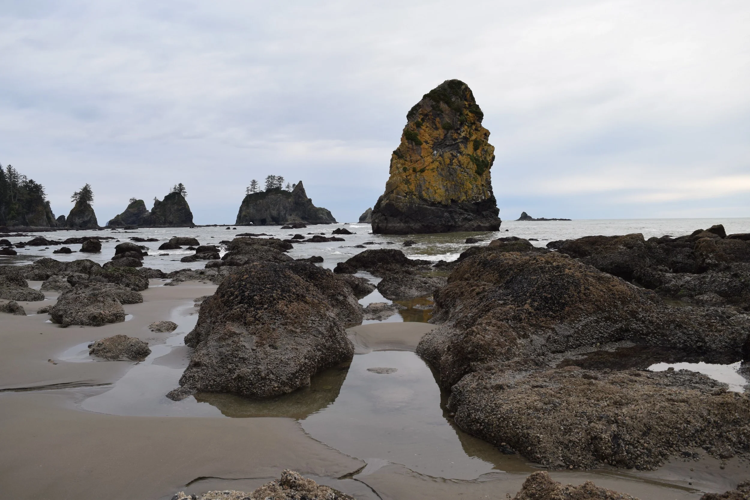 Point of the Arches.jpg
