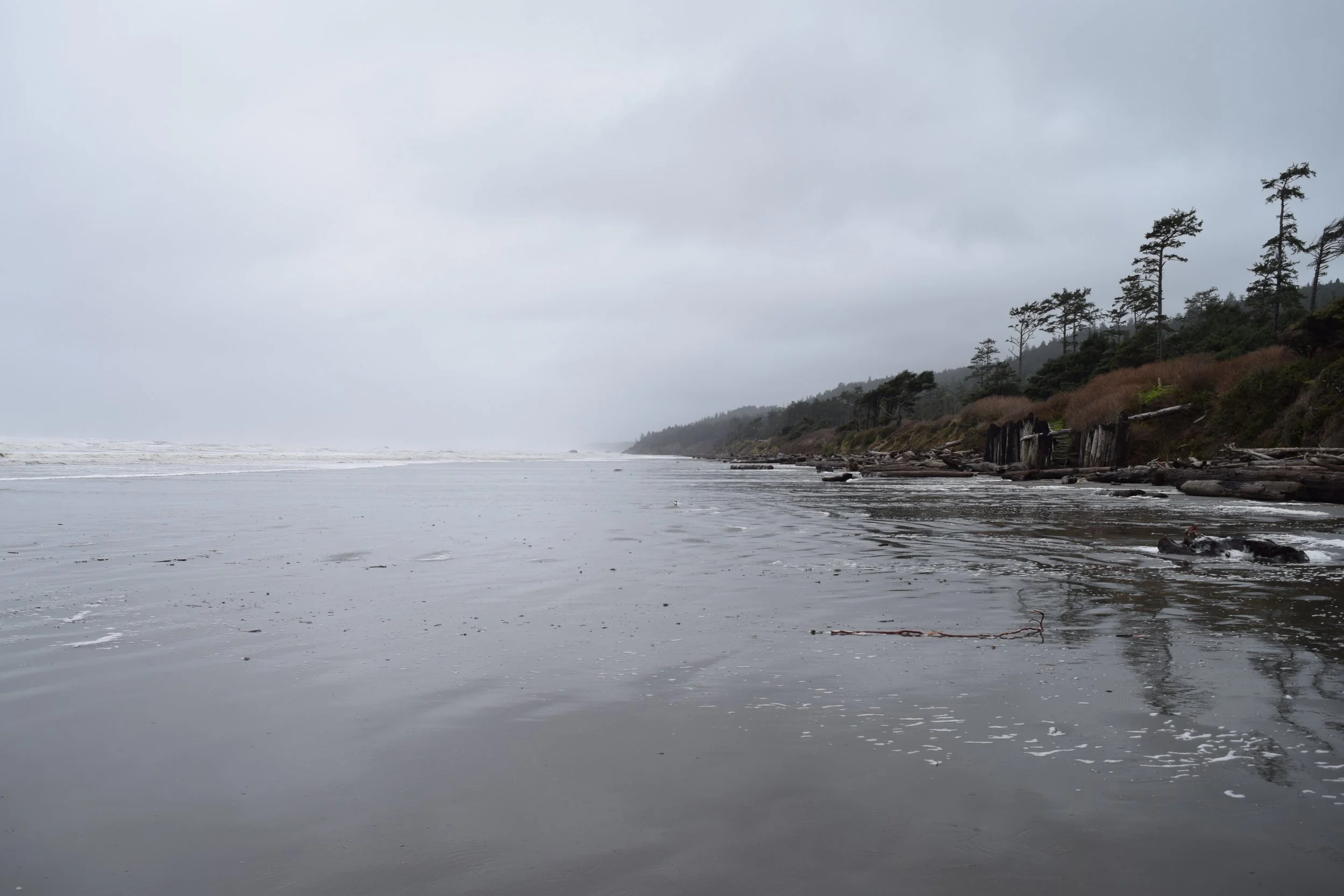 Beautiful sandy landscape.jpg