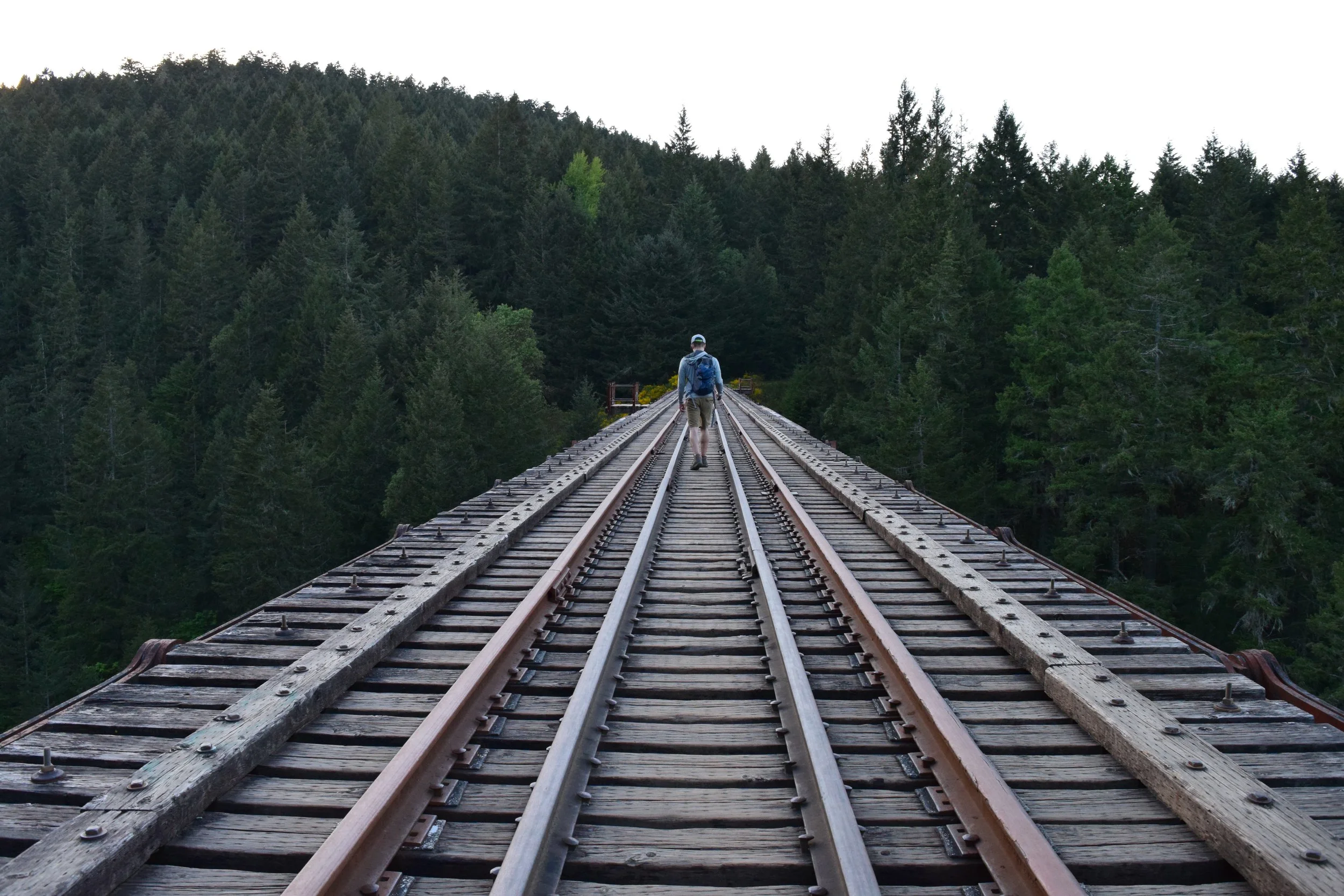 12 - trestle.jpg