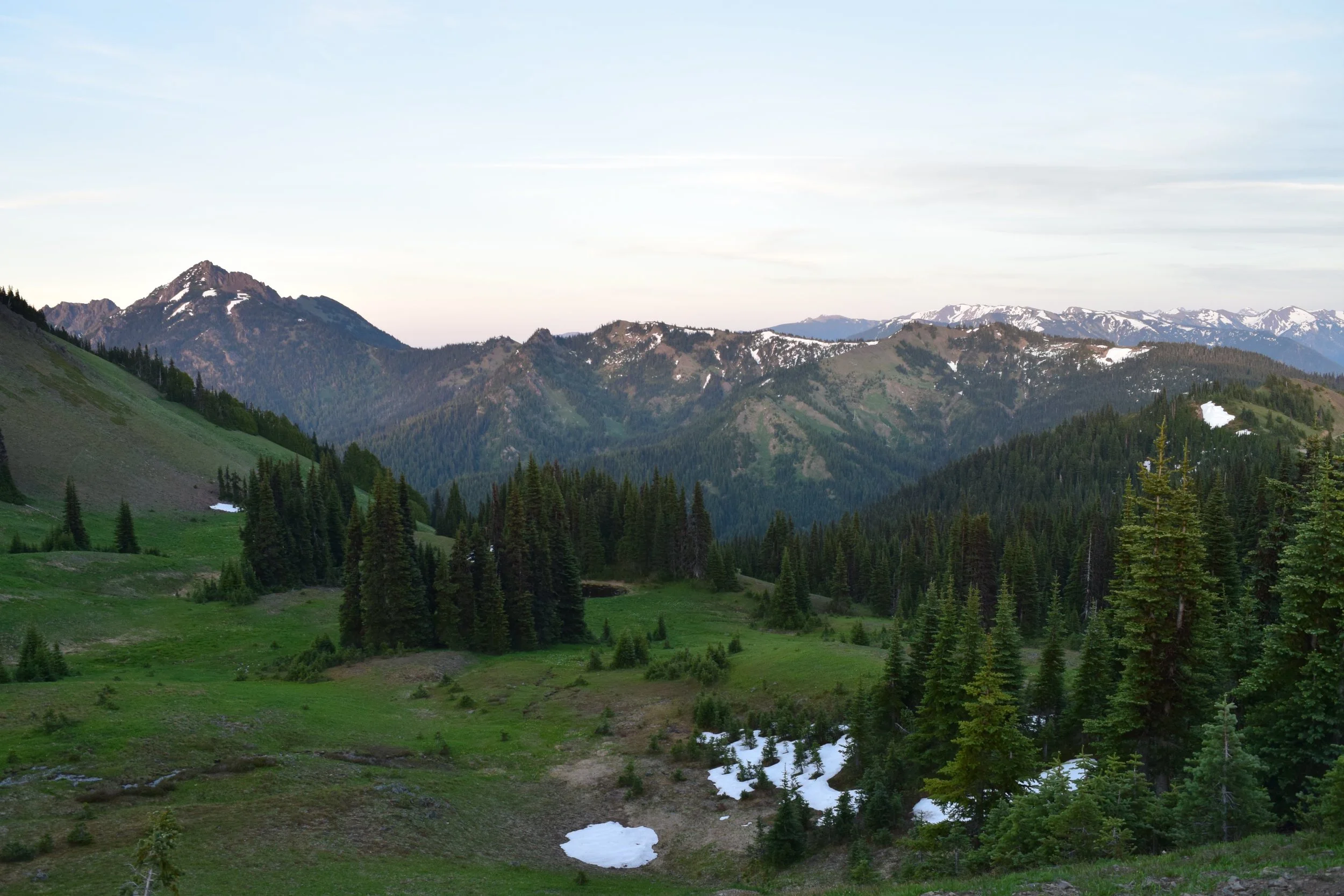 4 - Meadows.jpg