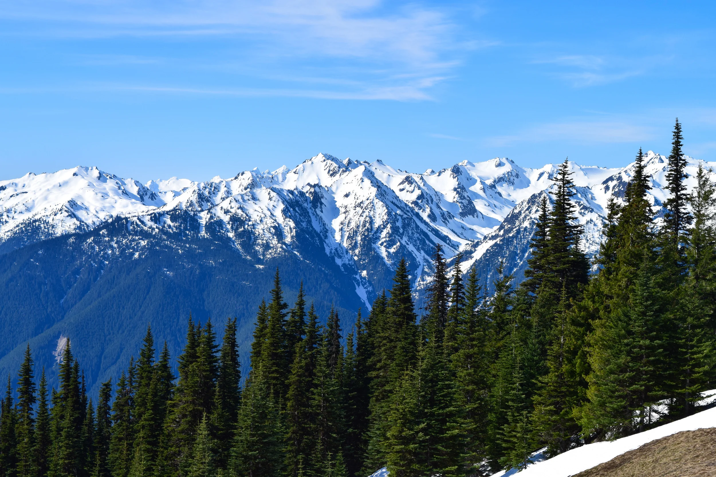 Hurricane Ridge.jpg