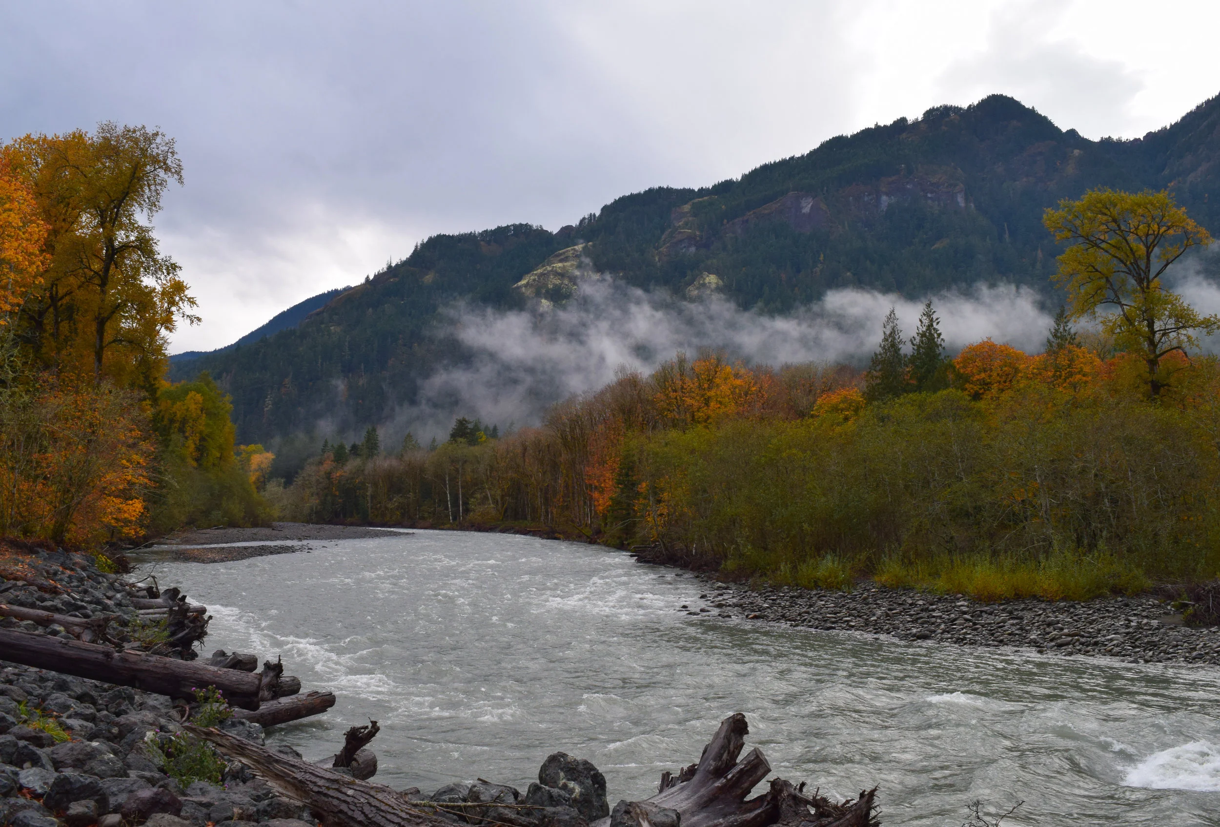 Elwha River Valley Fall Colors.jpg