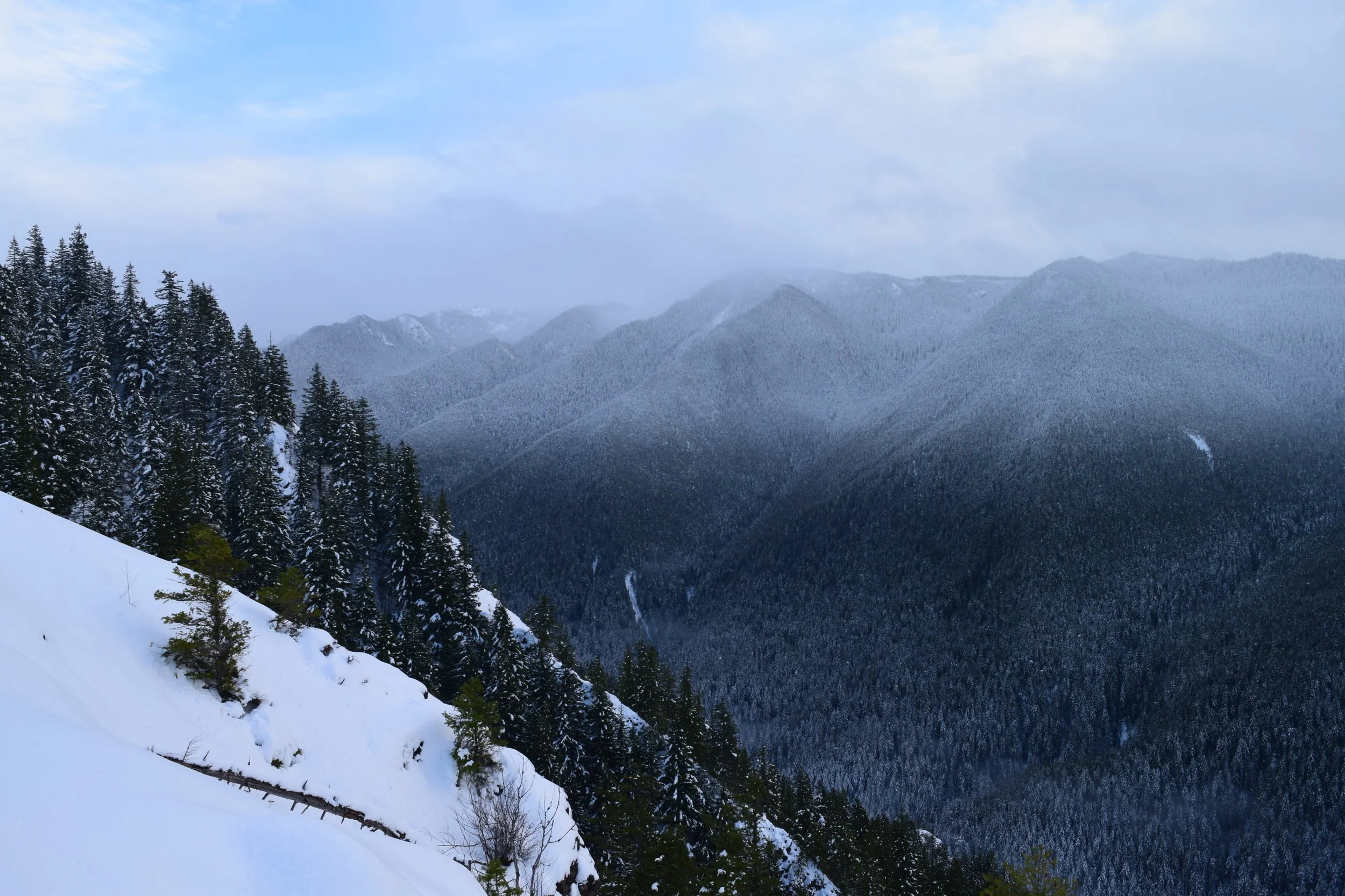 Southern View of the Olympics.jpg