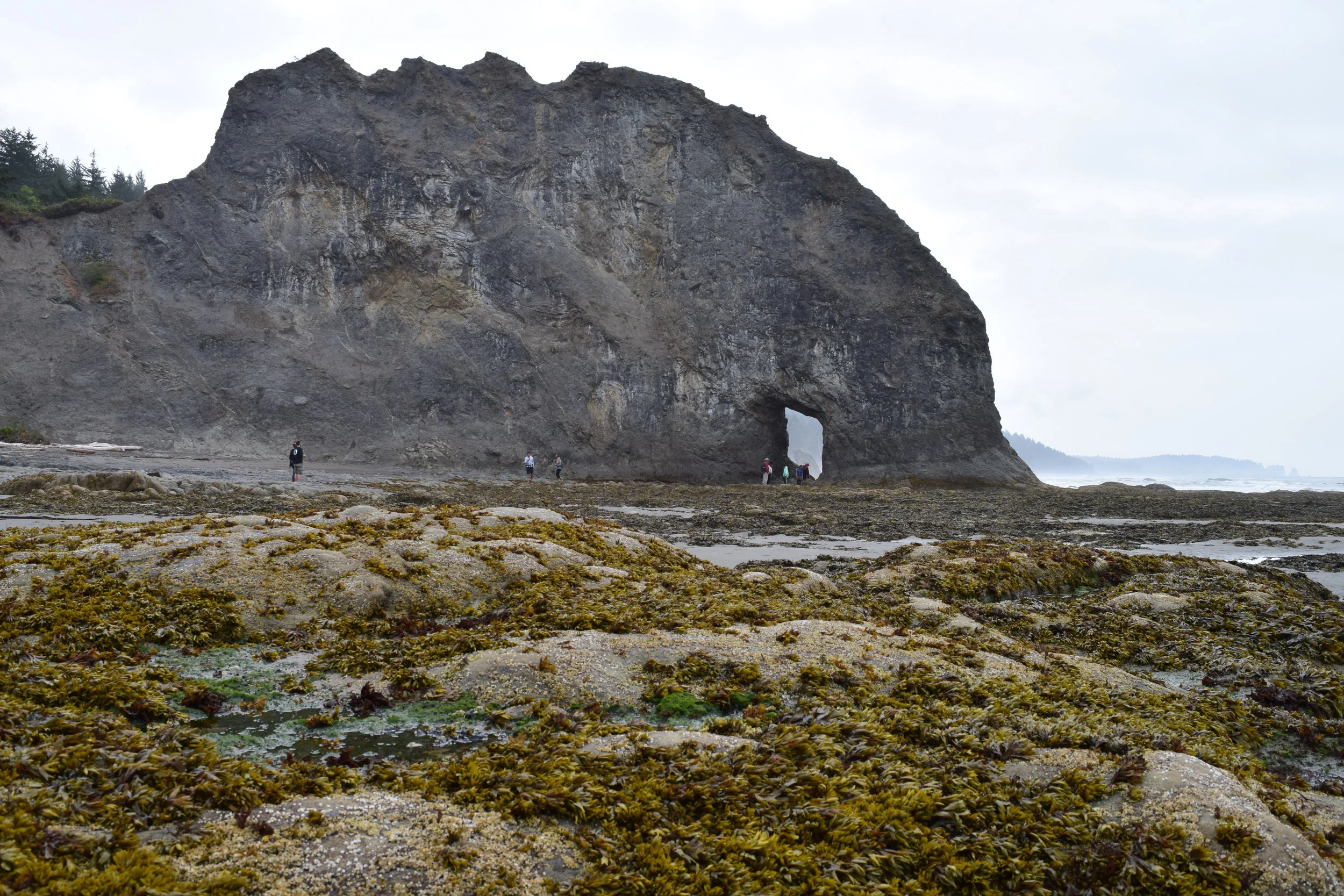 5 - Different World and Terrain.jpg