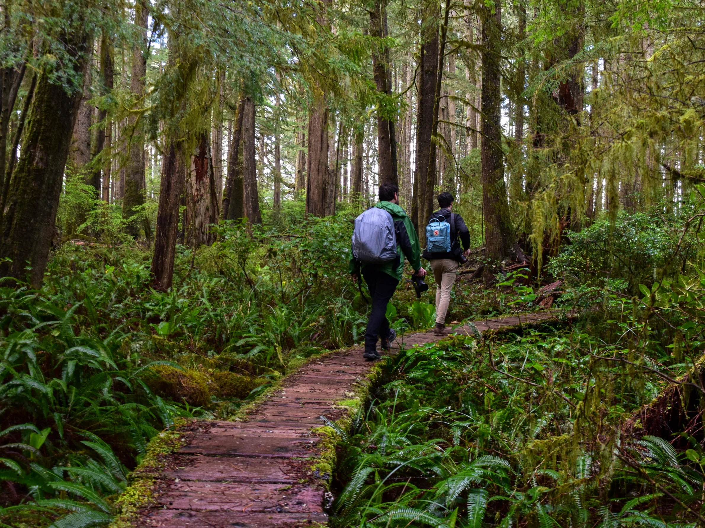 Ozette Triangle Hiking Tour 1.jpg