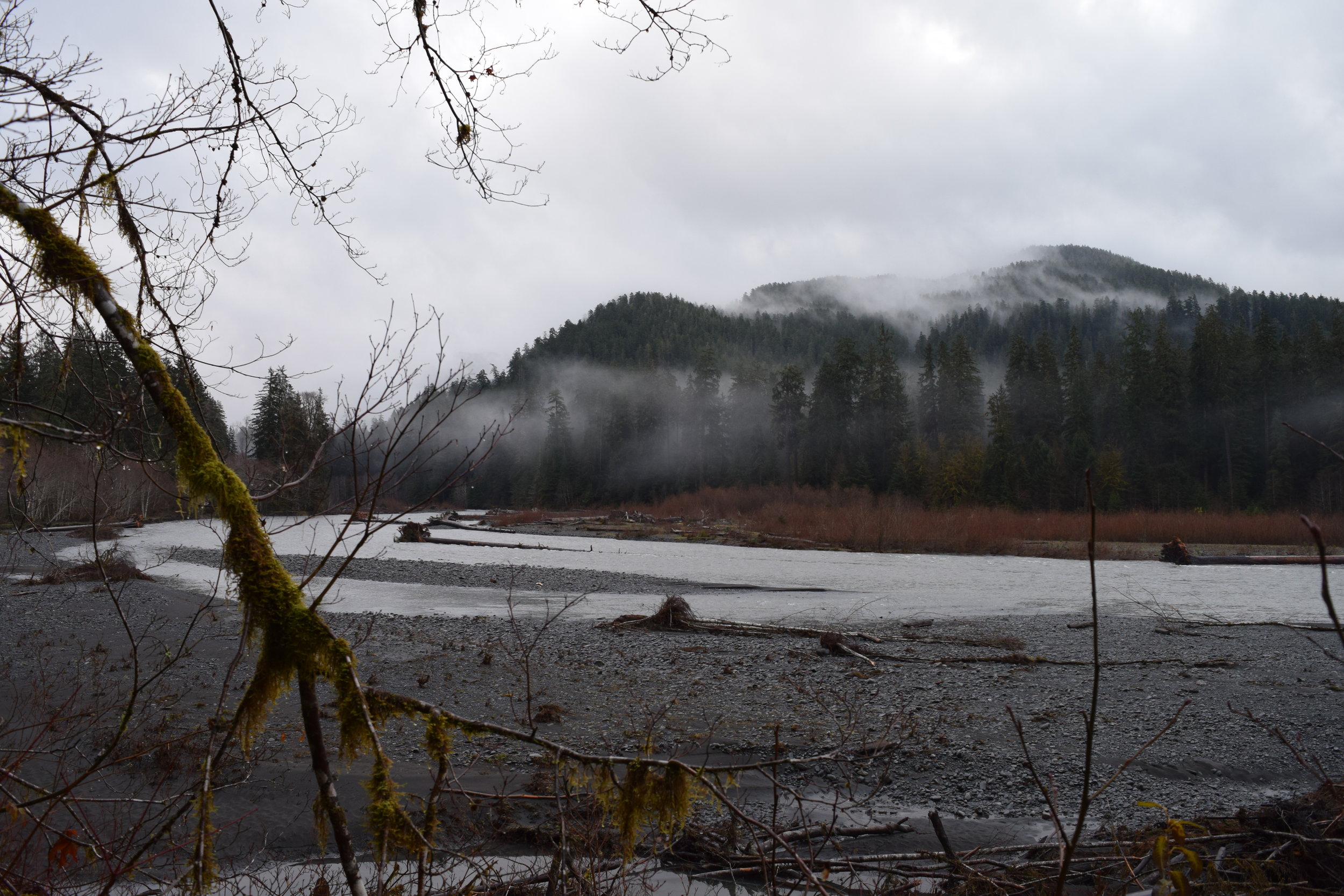 Hoh River.jpg