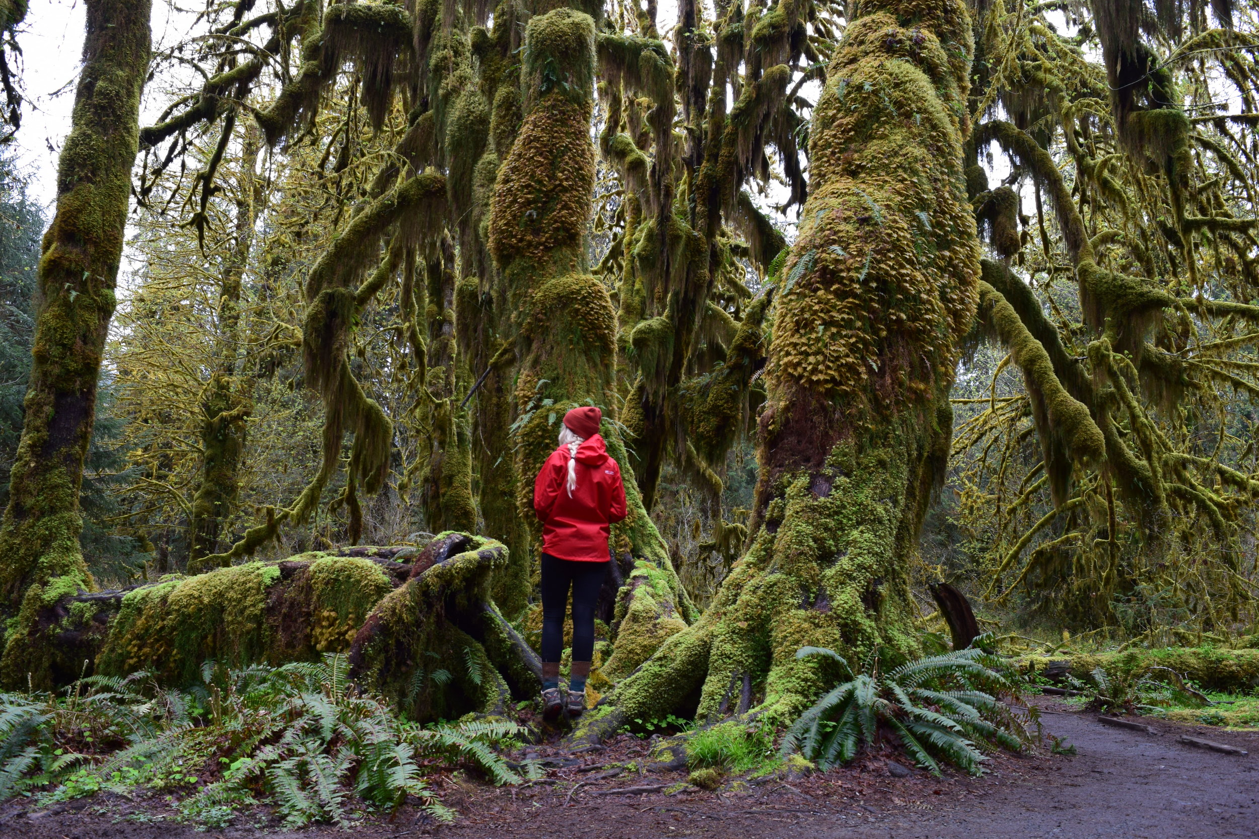 the Hall of Mosses.jpg