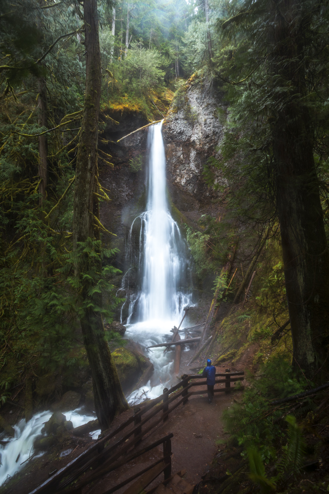 Marymere Falls on the Olympic Peninsula with HikeOlympic by Michael Matti.jpg
