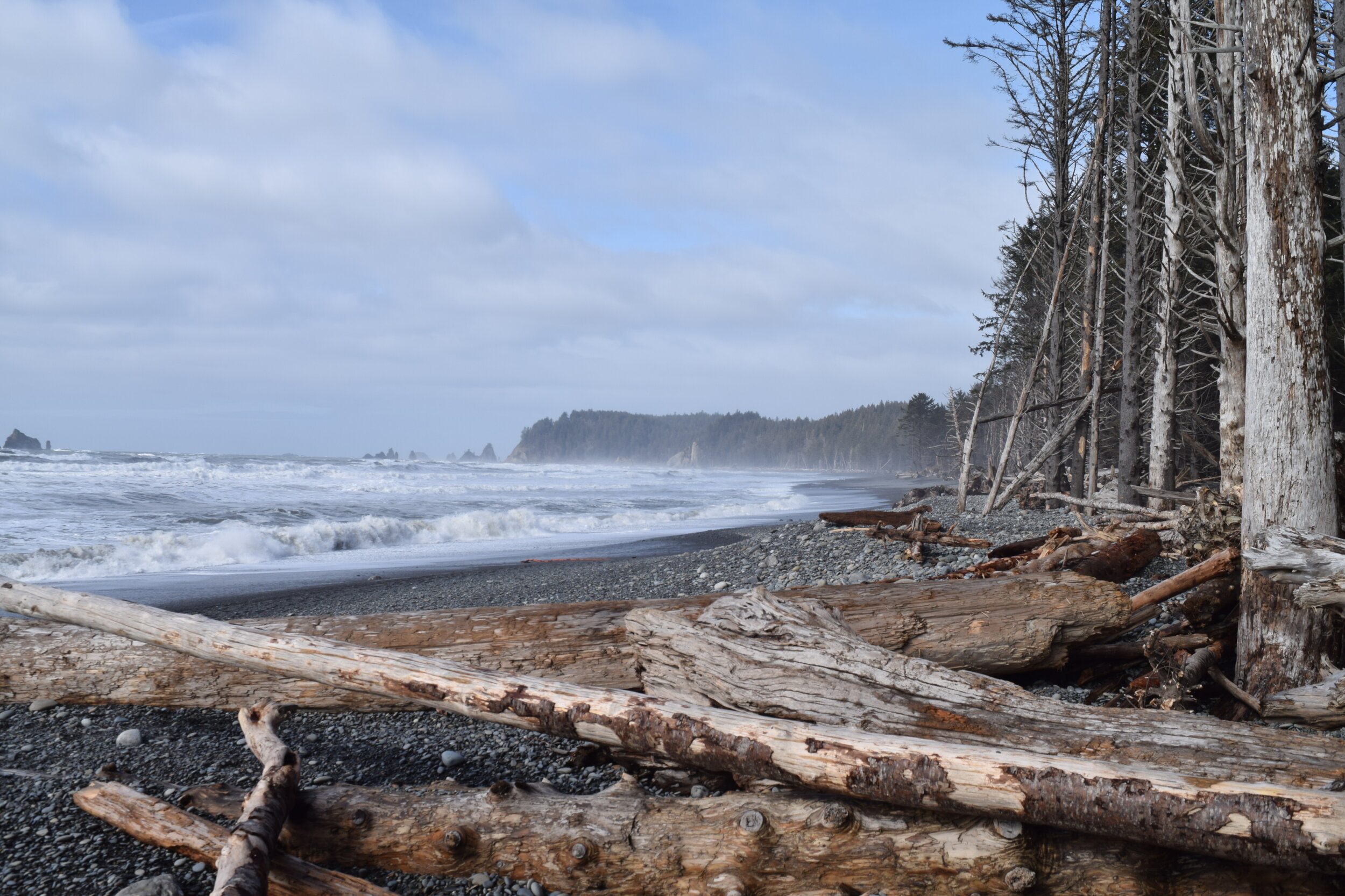   Rialto Beach   8-9 Hour Guided Tour in Olympic National Park 