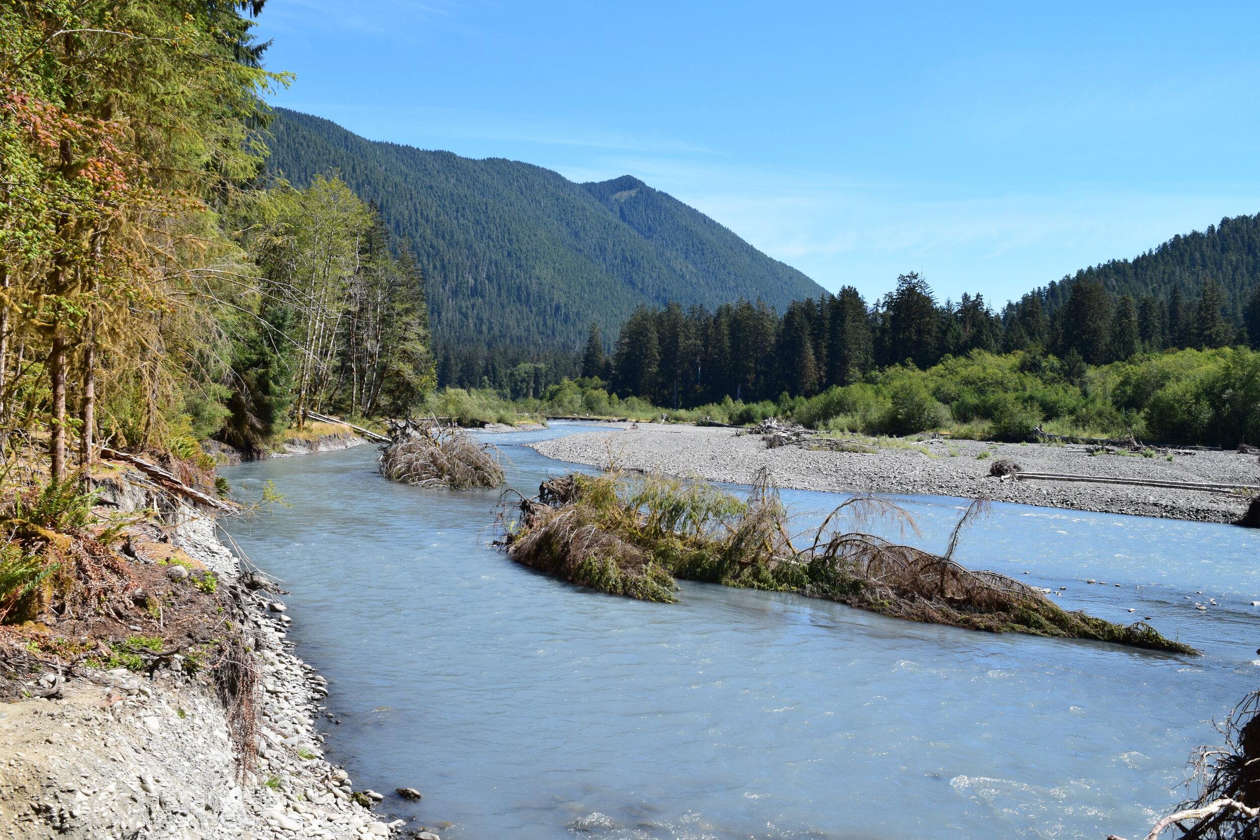 HOH3 - Hoh River.jpg