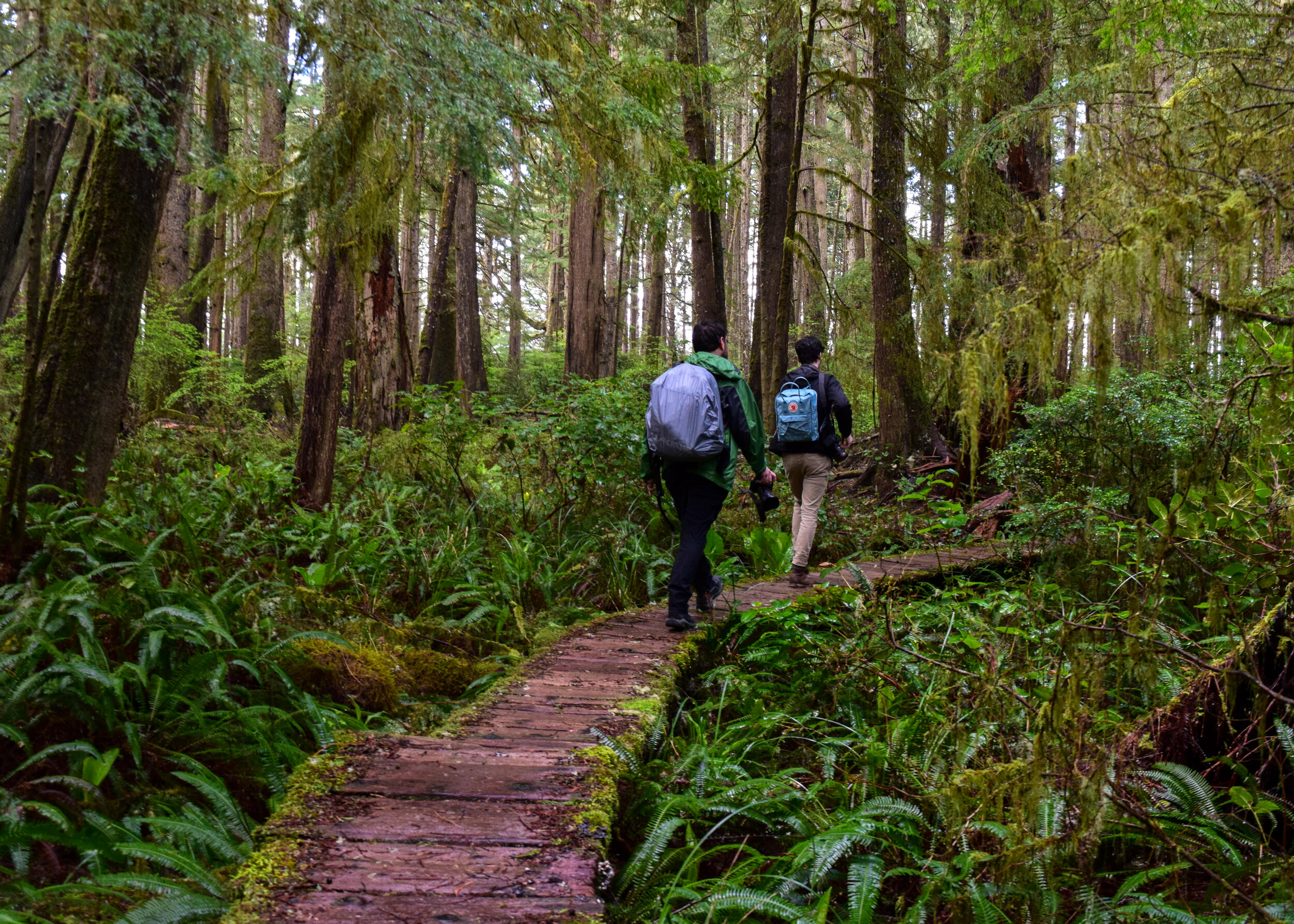 0C1 - Boardwalk Trail.jpg