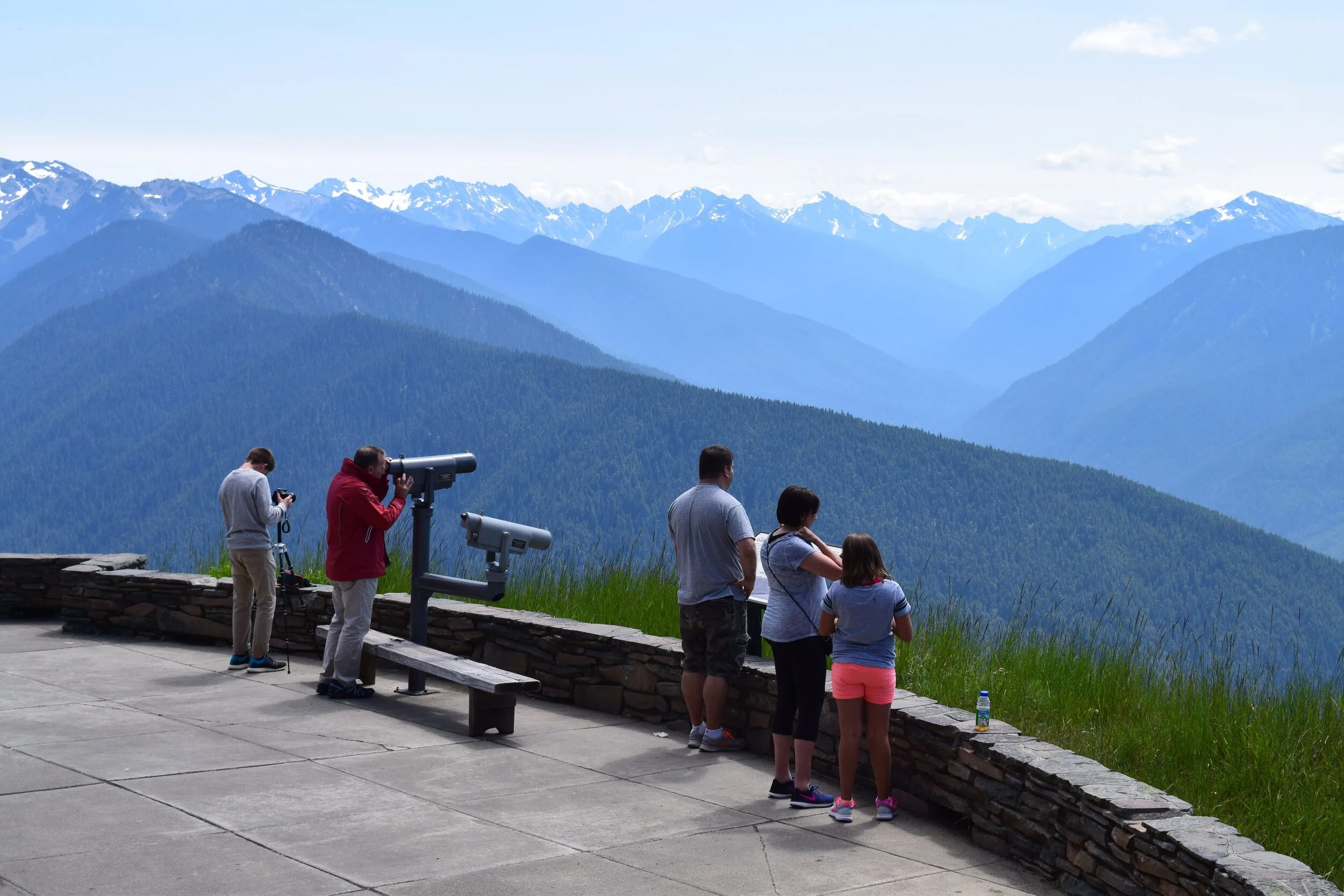 Hurricane Ridge Guided Hiking Tour Olympic Hiking Co.