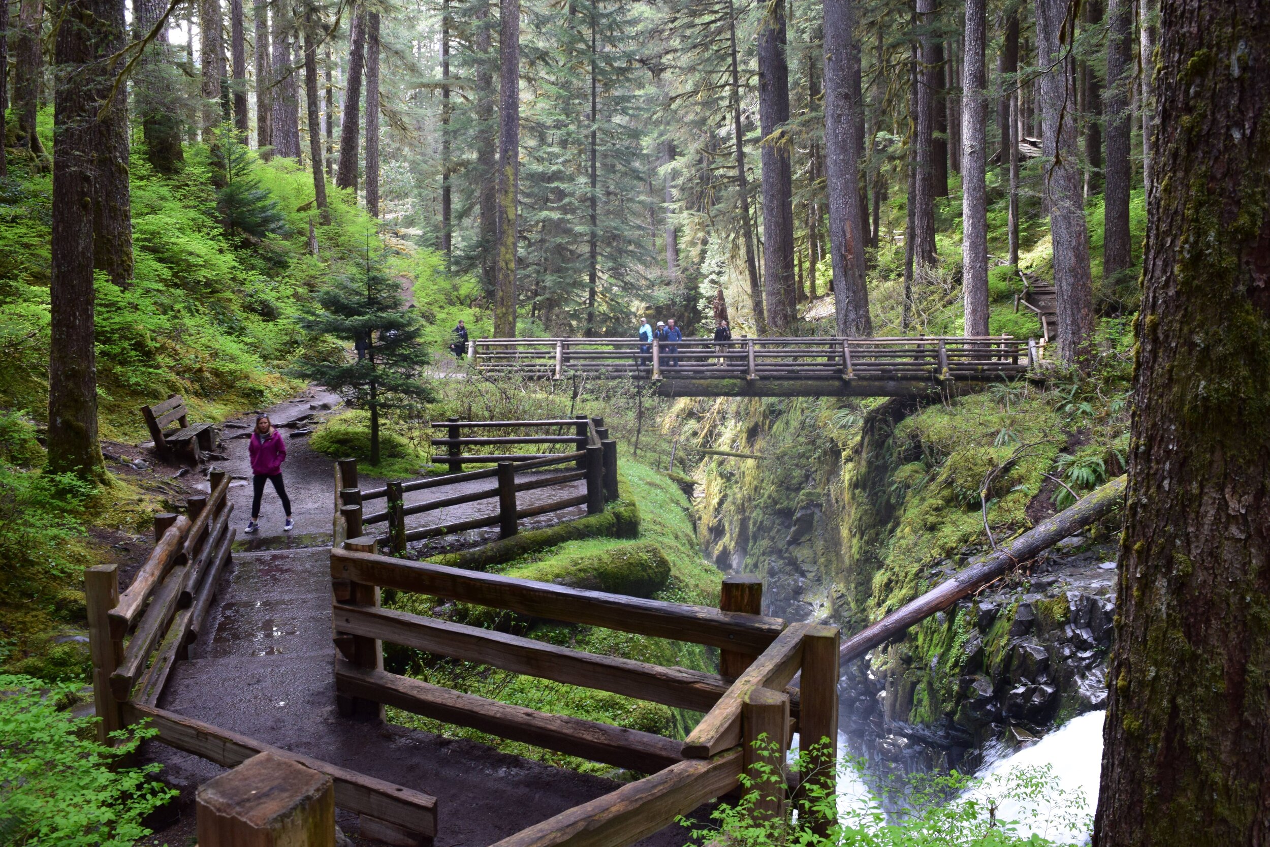 Sol Duc Falls Guided Hiking Tour In Olympic National Park Olympic