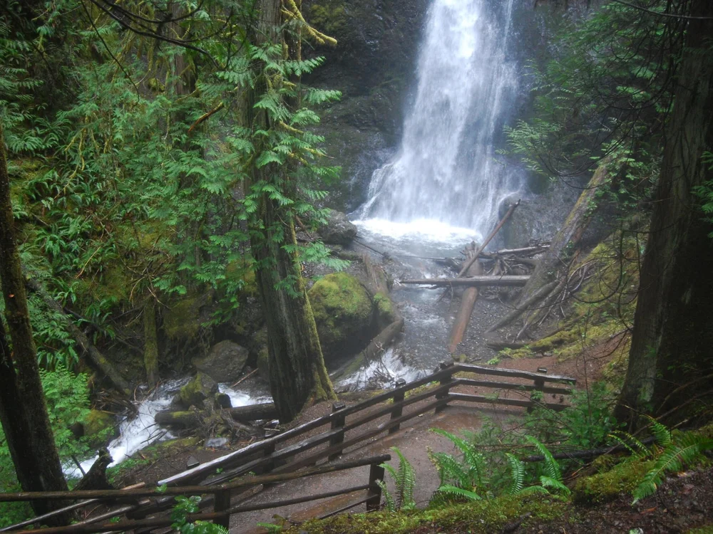 Lake Crescent Hiking Trails Lake Crescent In Olympic National Park | Olympic Hiking Co.