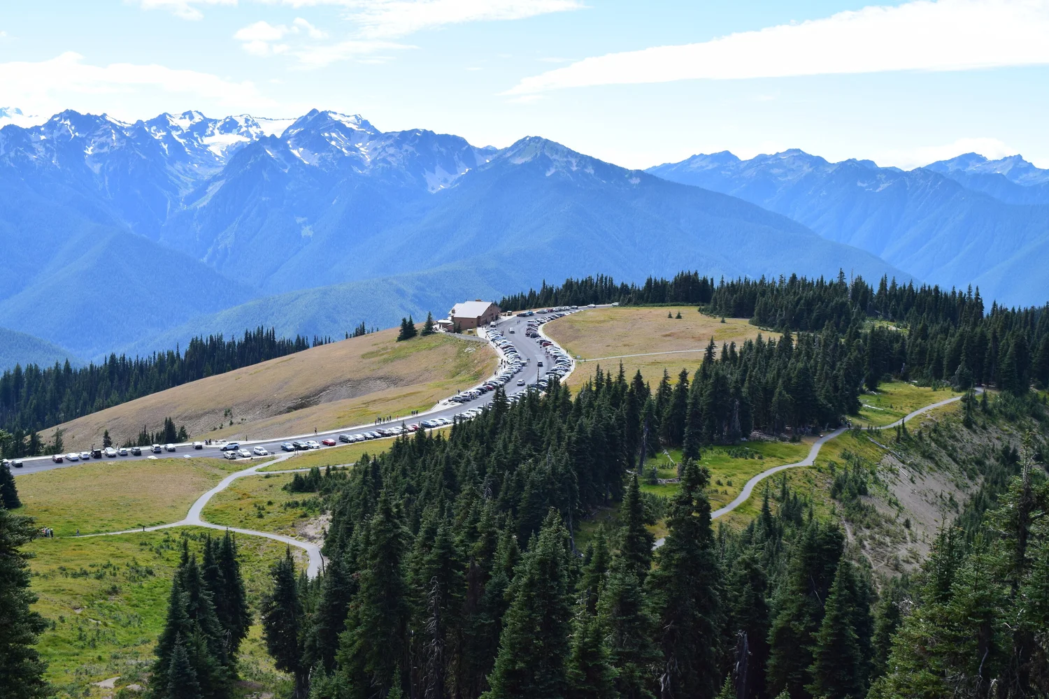 Hurricane Ridge Best Hikes In The Olympics Hurricane Ridge Hike