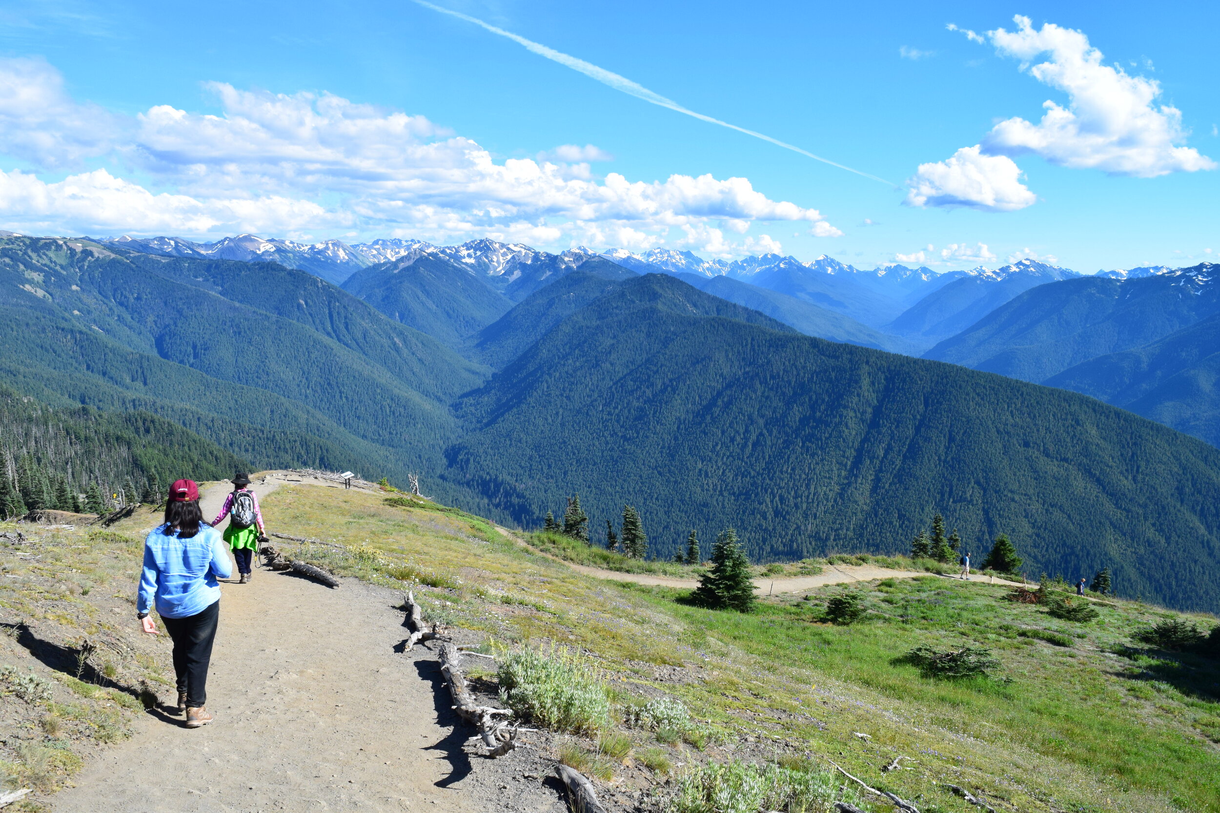 Buy hikes from hurricane ridge on Sale Black Friday