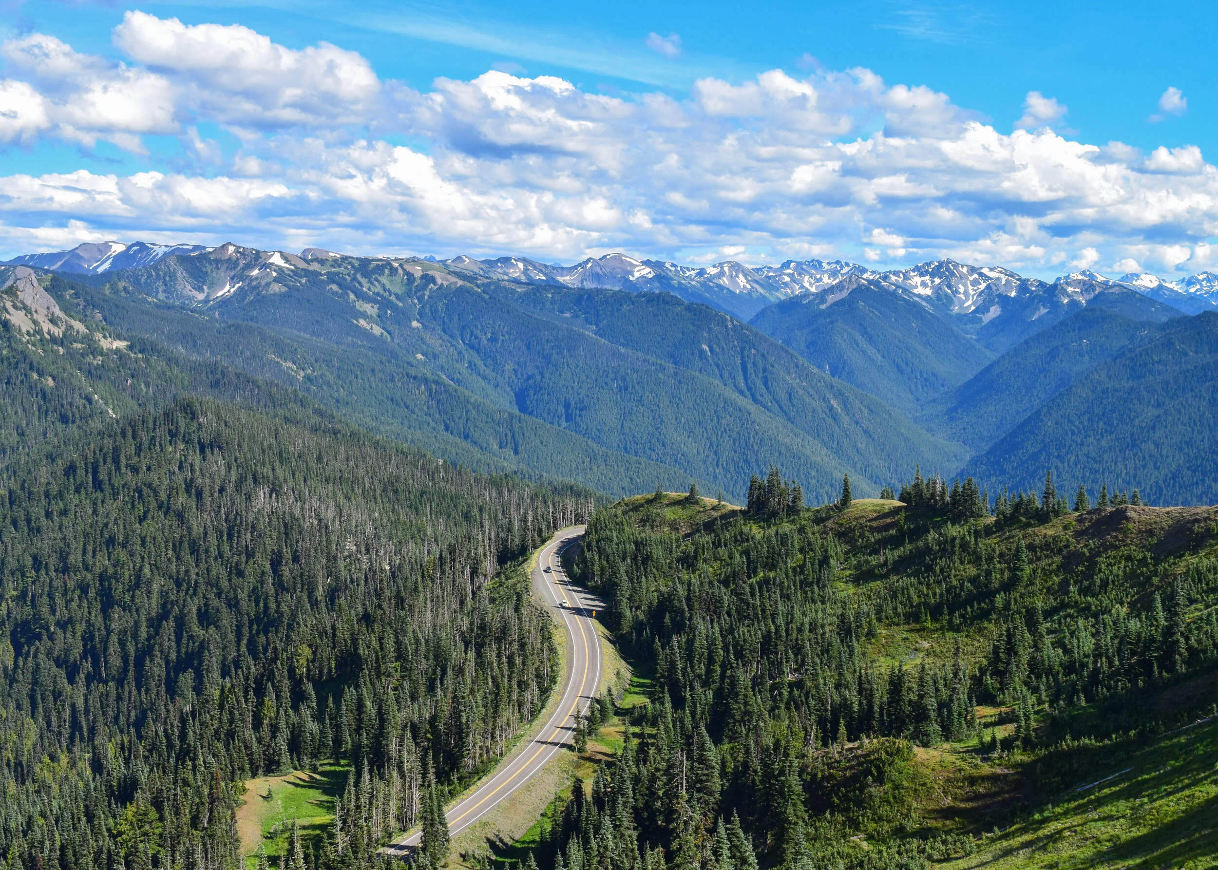 Sunrise Ridge Hurricane Ridge Hike Olympic National Park Port