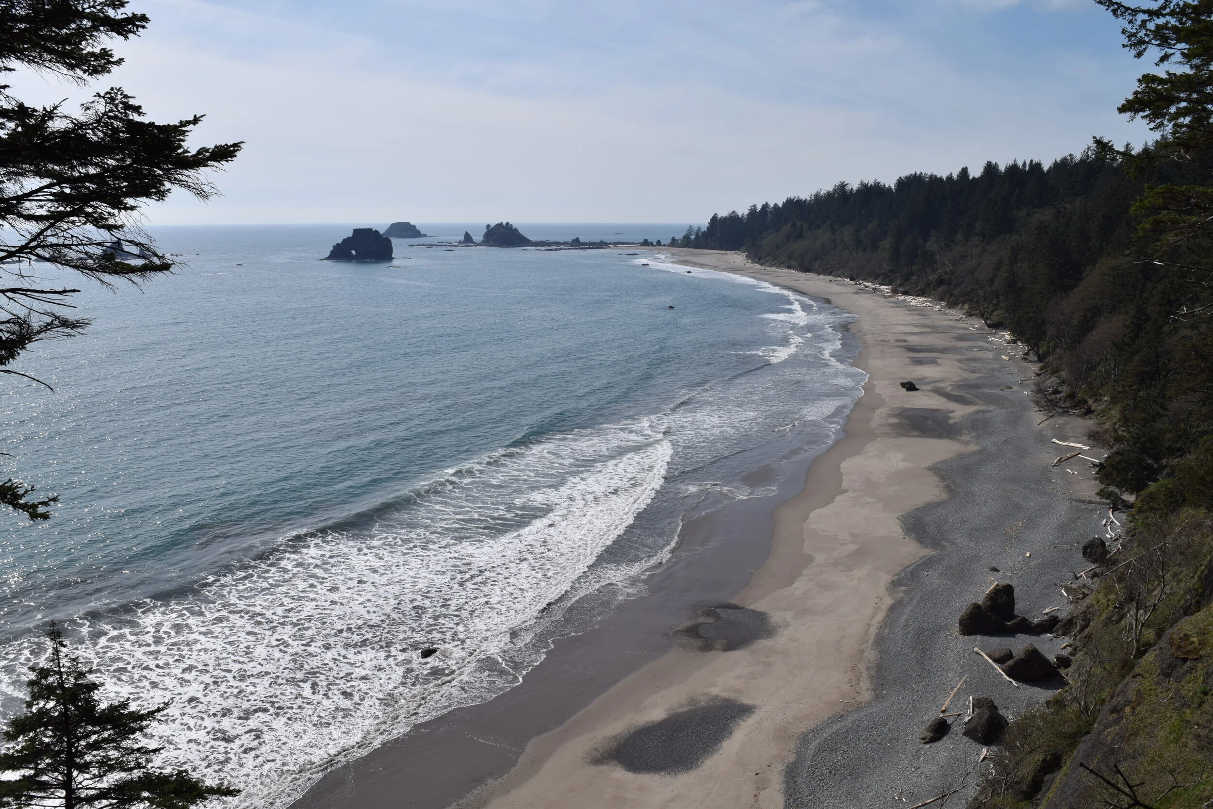 0 - South Coast Banner.jpeg